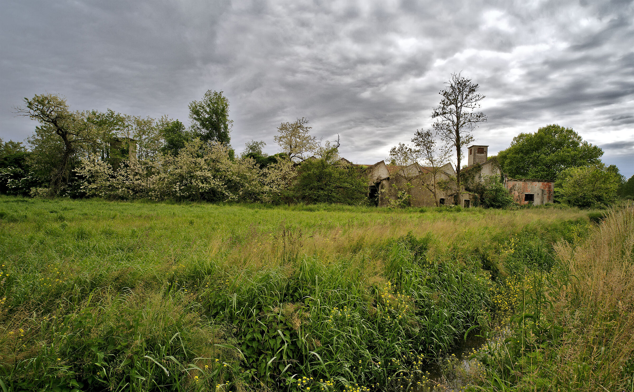 Light before the thunderstorm