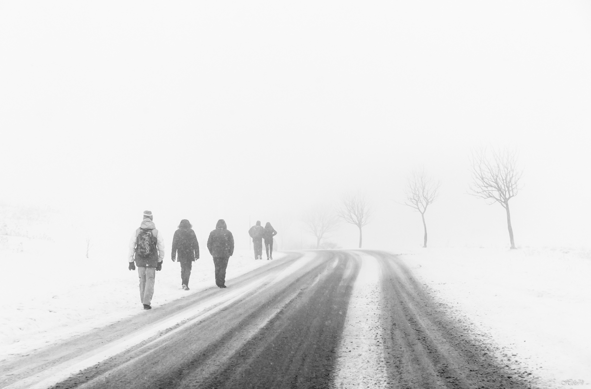 In a row under the storm