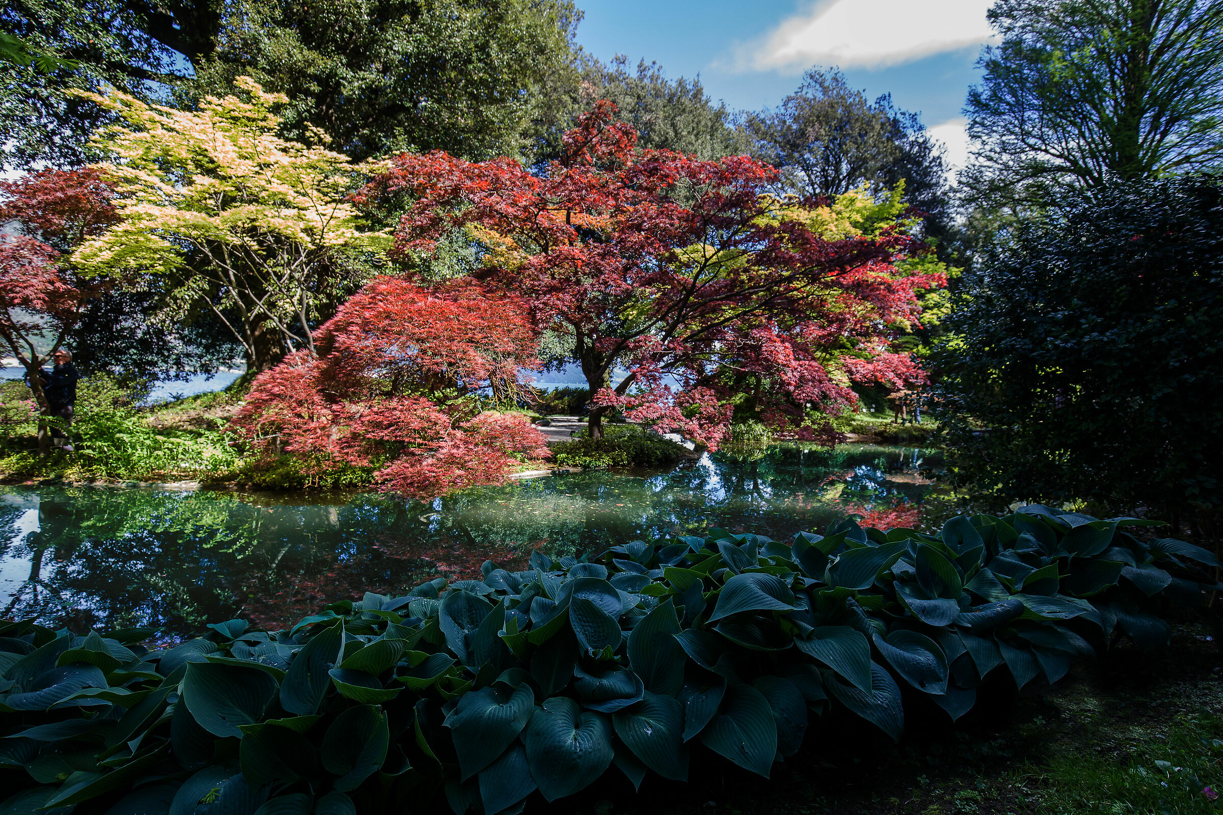 Bellagio-The gardens of Villa Melzi