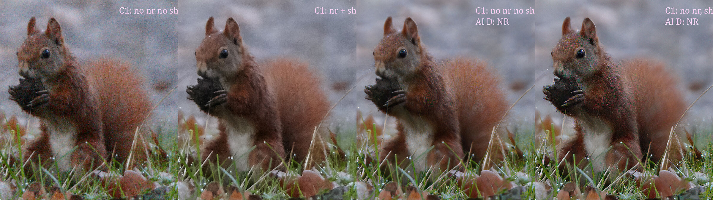 Test Topaz denoise AI-S1