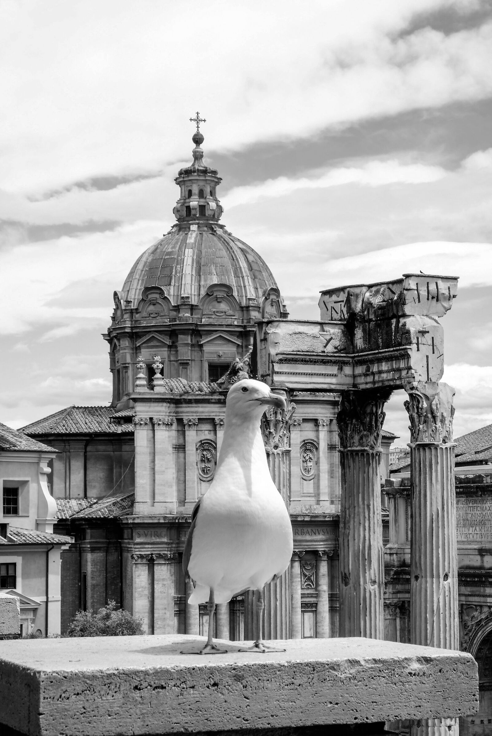 tutti posano con Roma