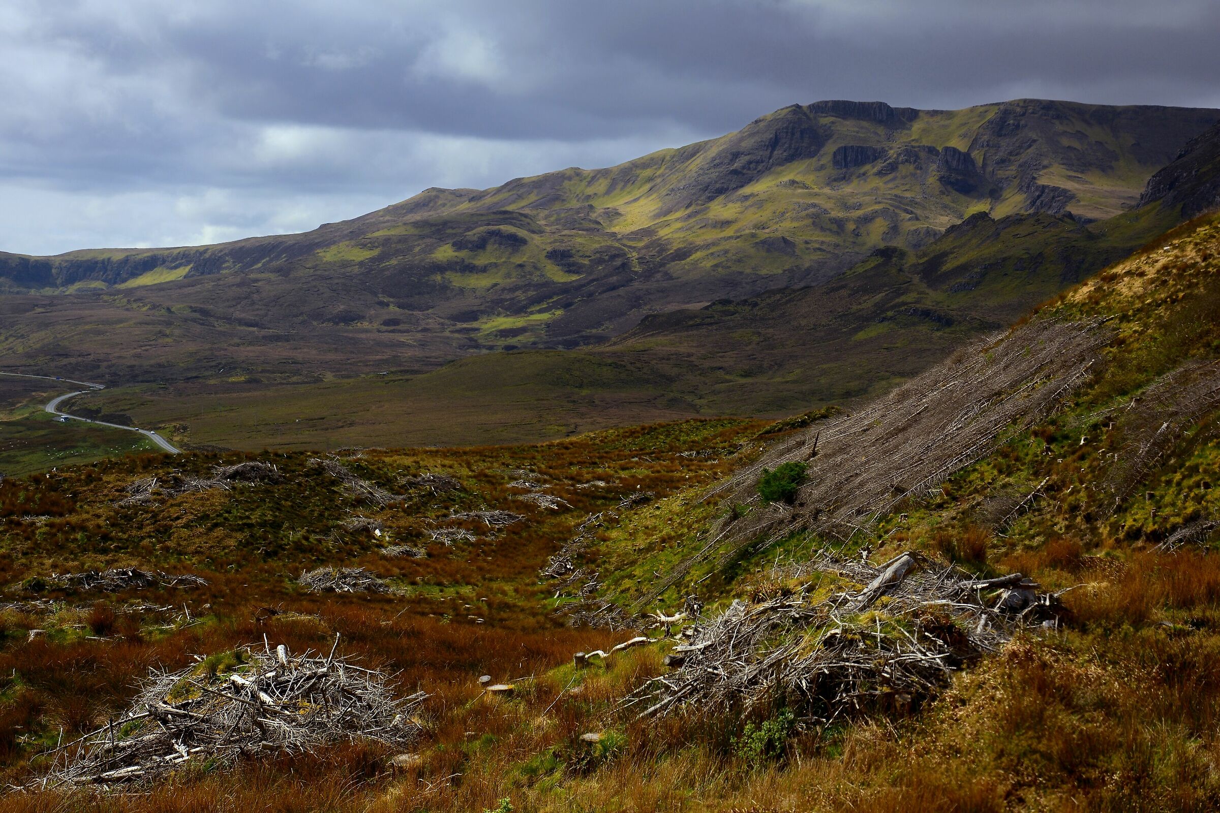 Skye Landscape
