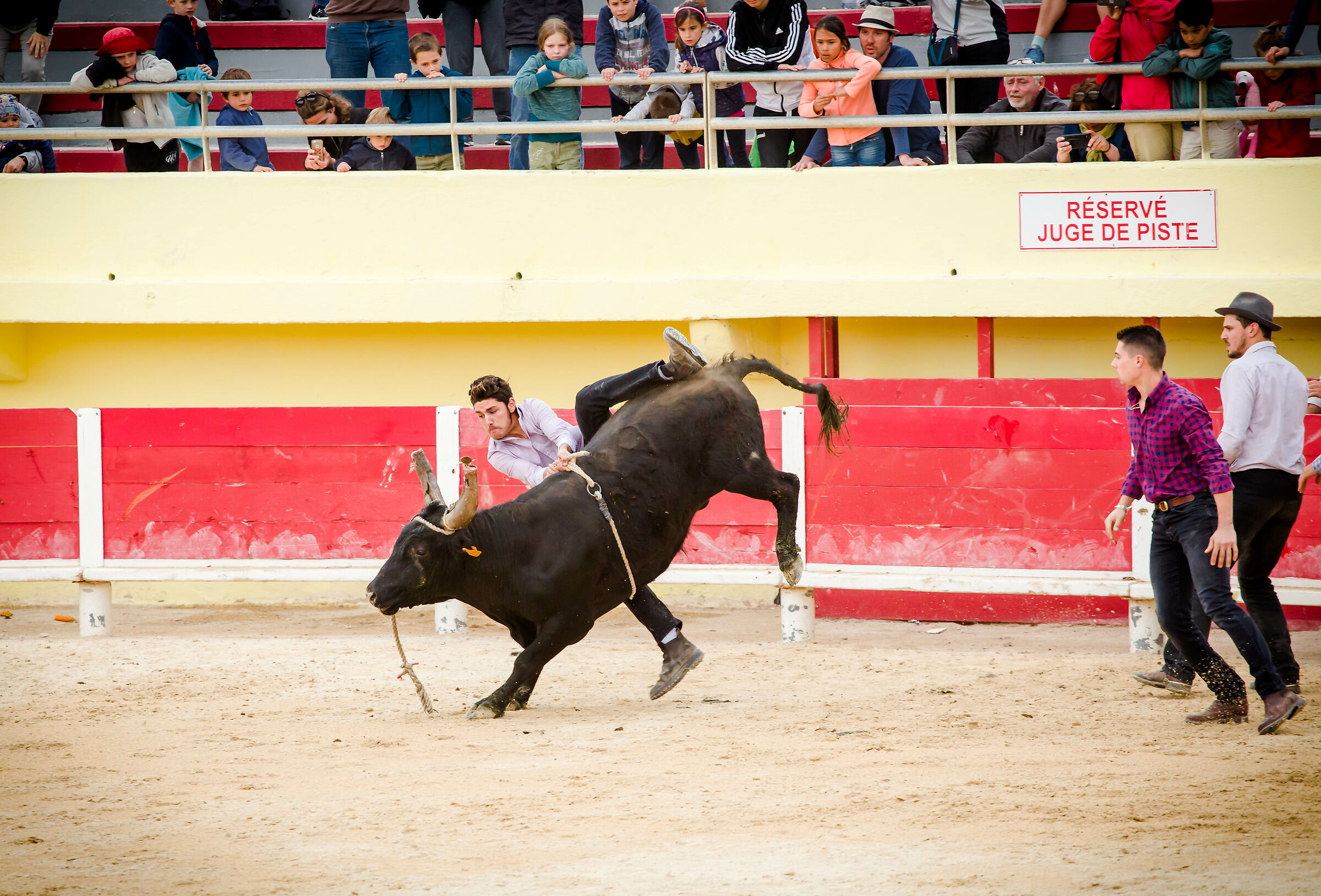 Rodeo; Saintes Maries de la mer- Camargue