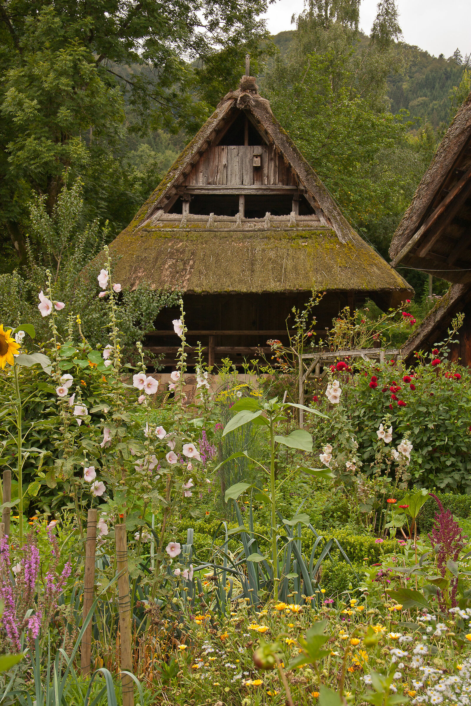 Schwarzwälder Freilichtmuseum Vogtsbauernhof