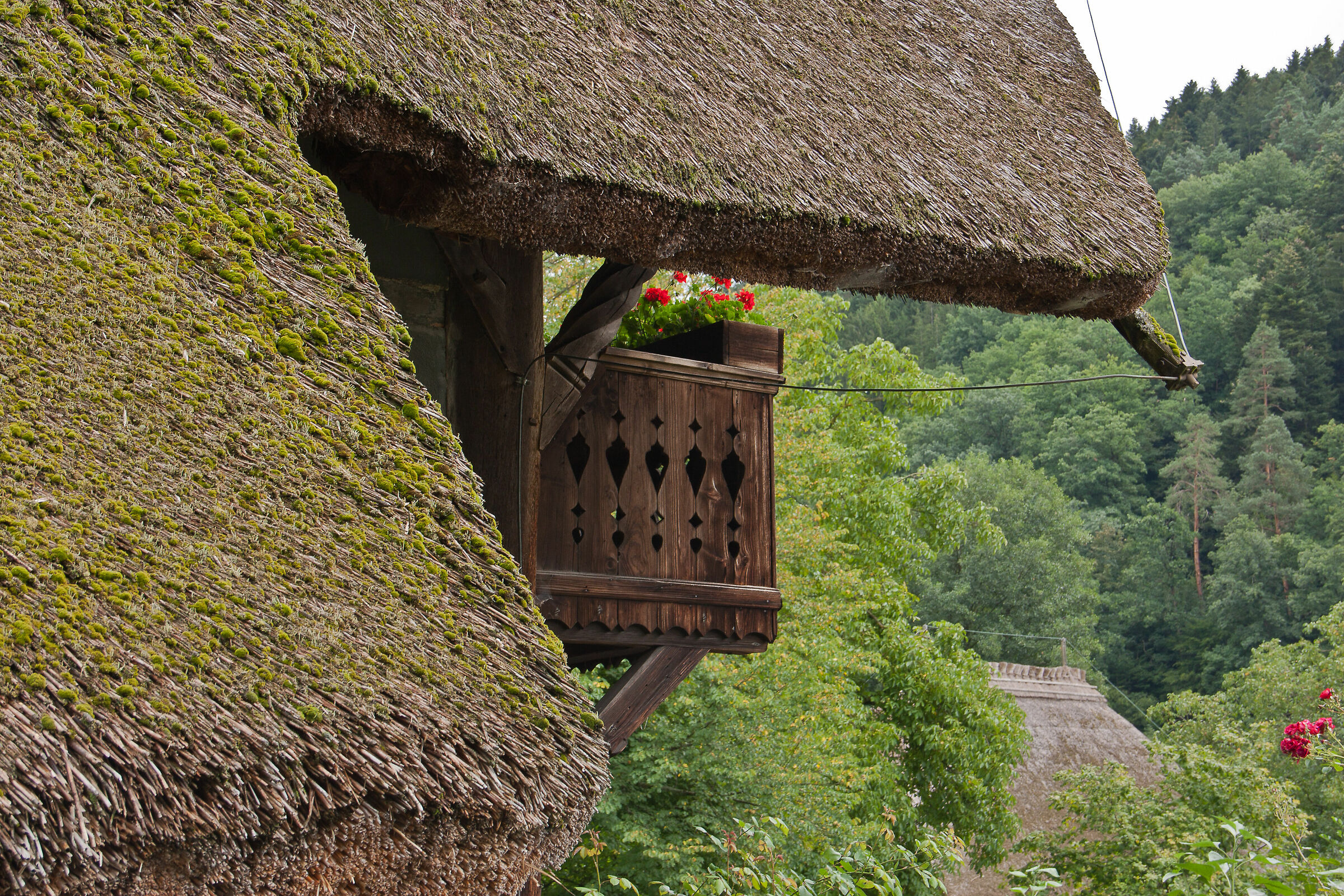 Schwarzwälder Freilichtmuseum Vogtsbauernhof
