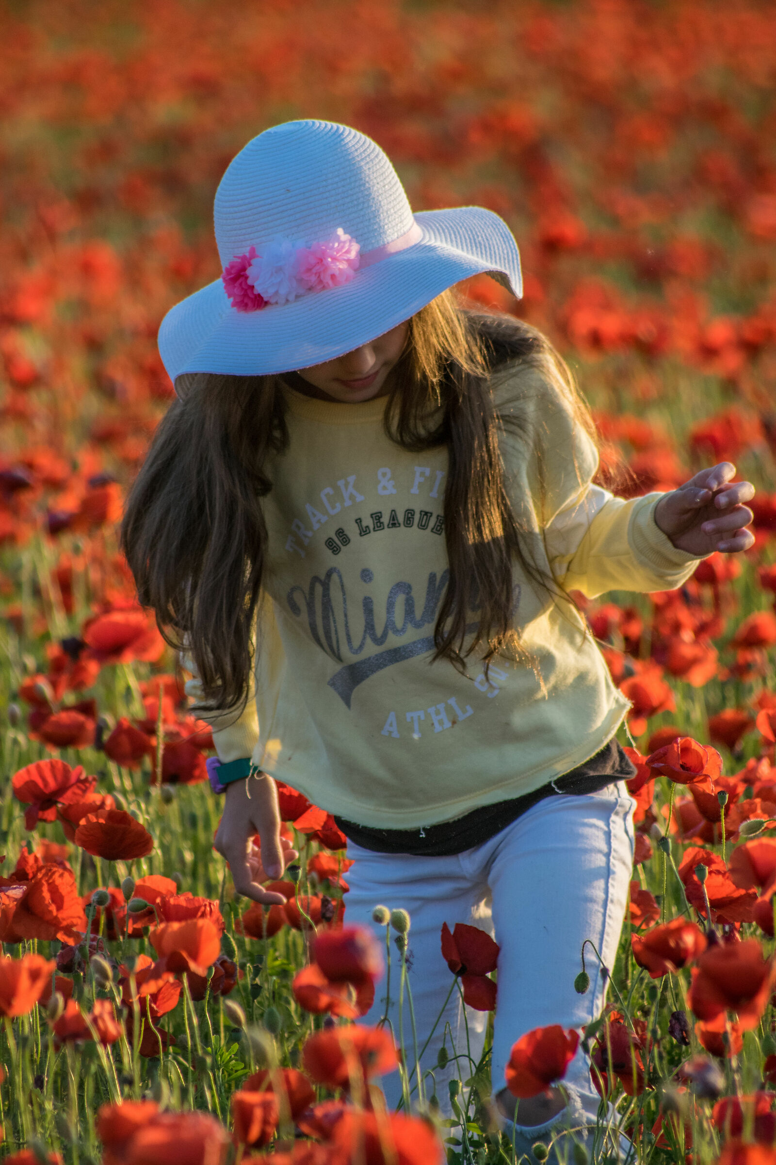 Among the poppies