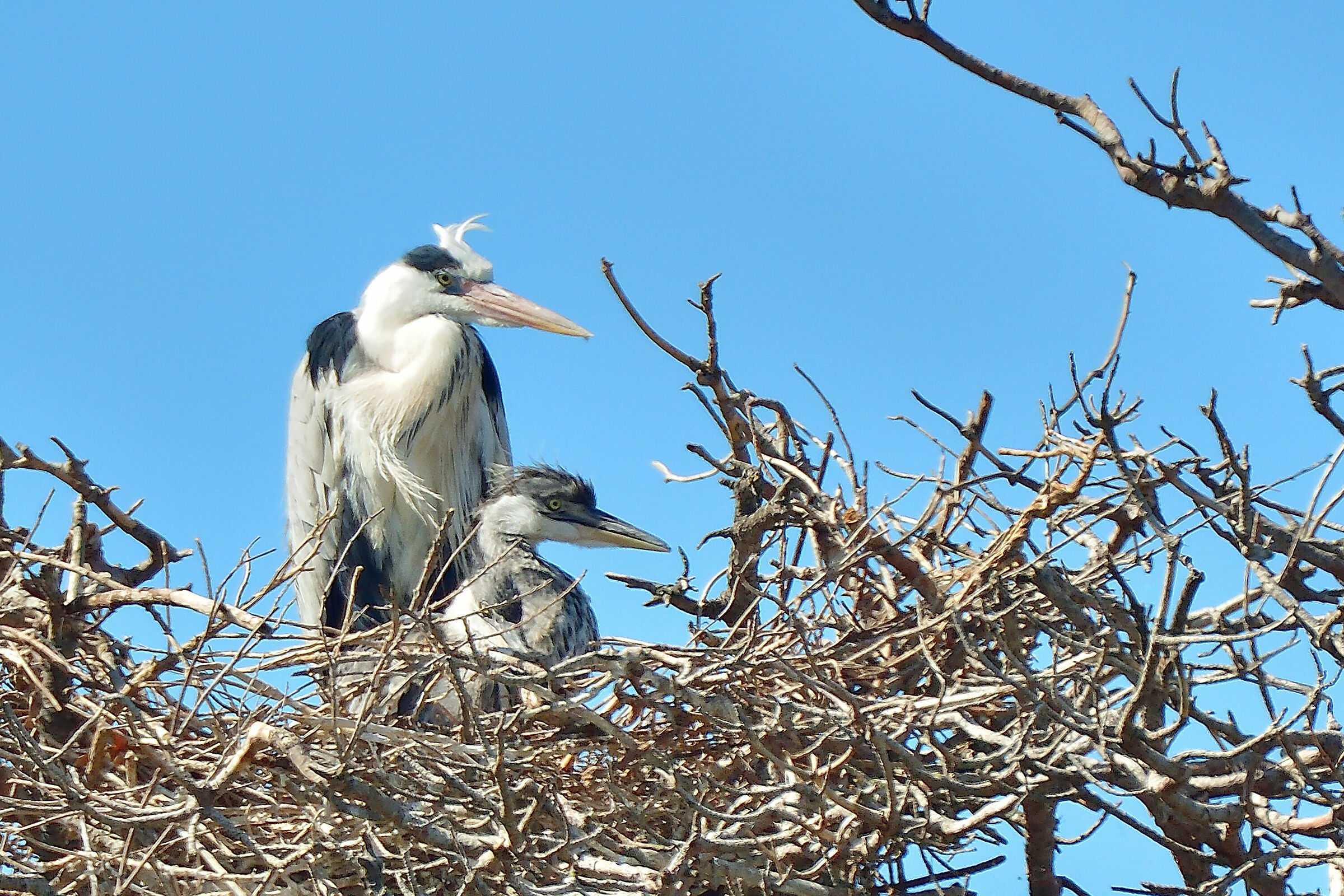 Ritratto di Famiglia