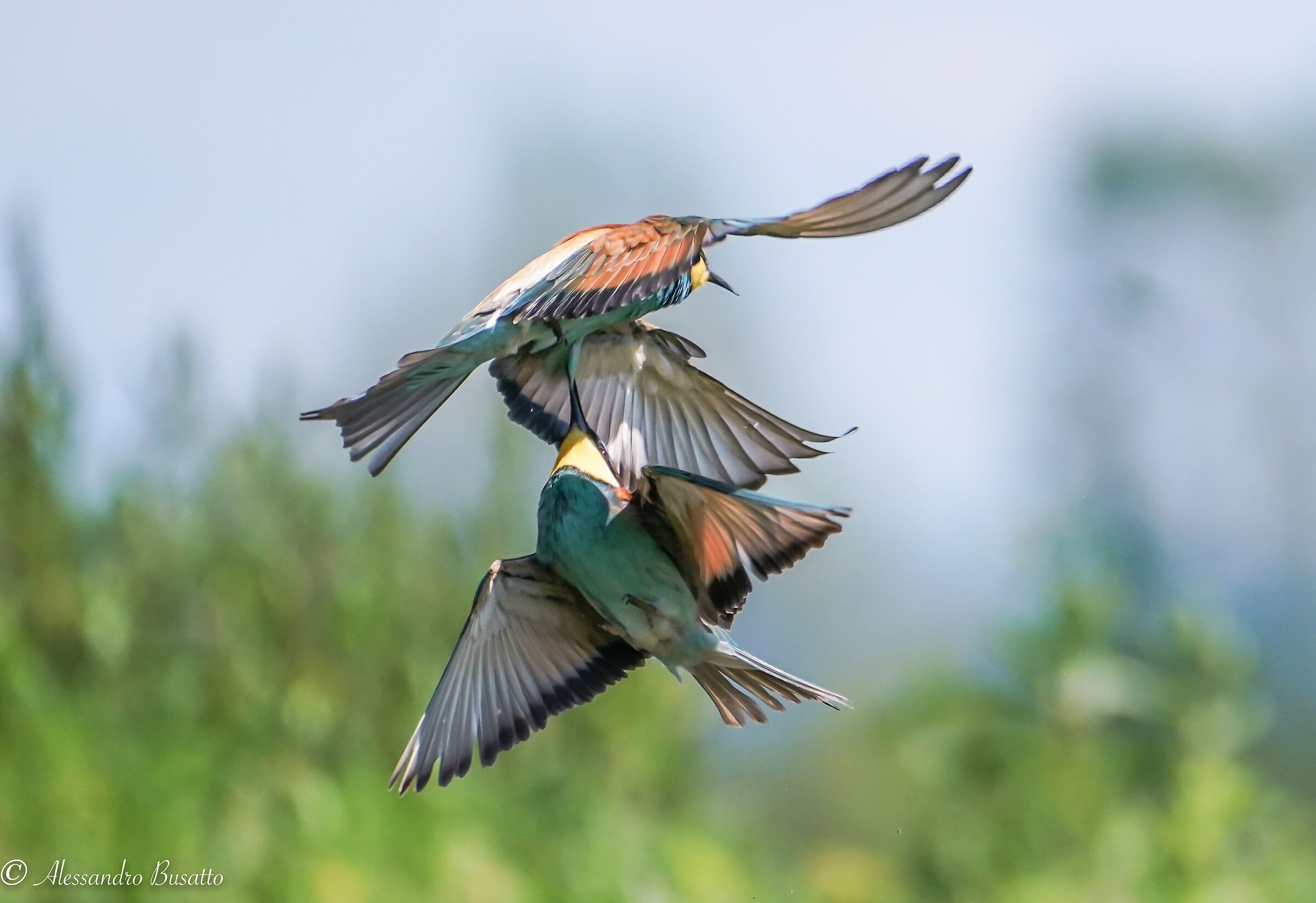 Aggressione in quota 2