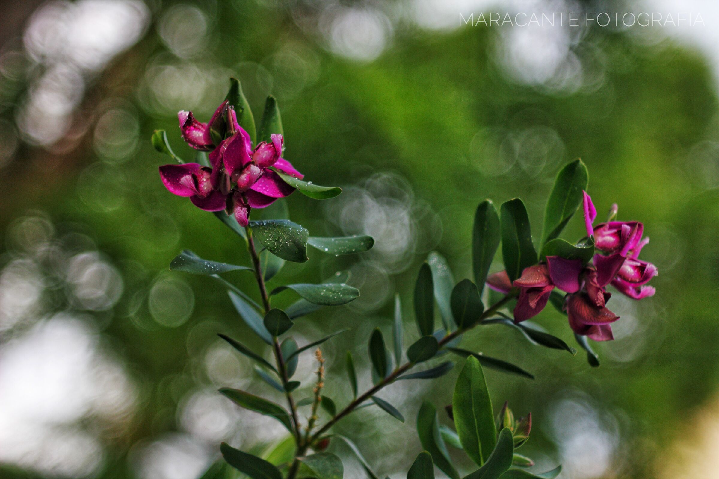 Le prove continuano.