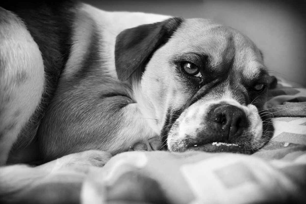 Do not wake the sleeping can...