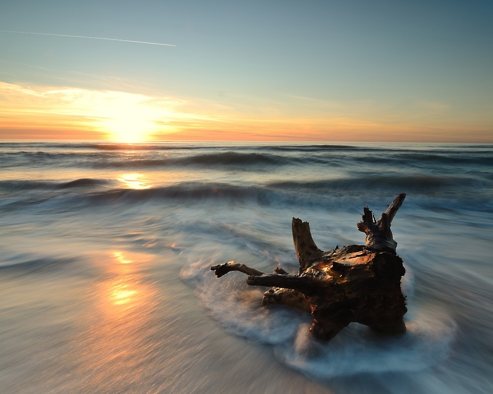 Marina Di Vecchiano 1