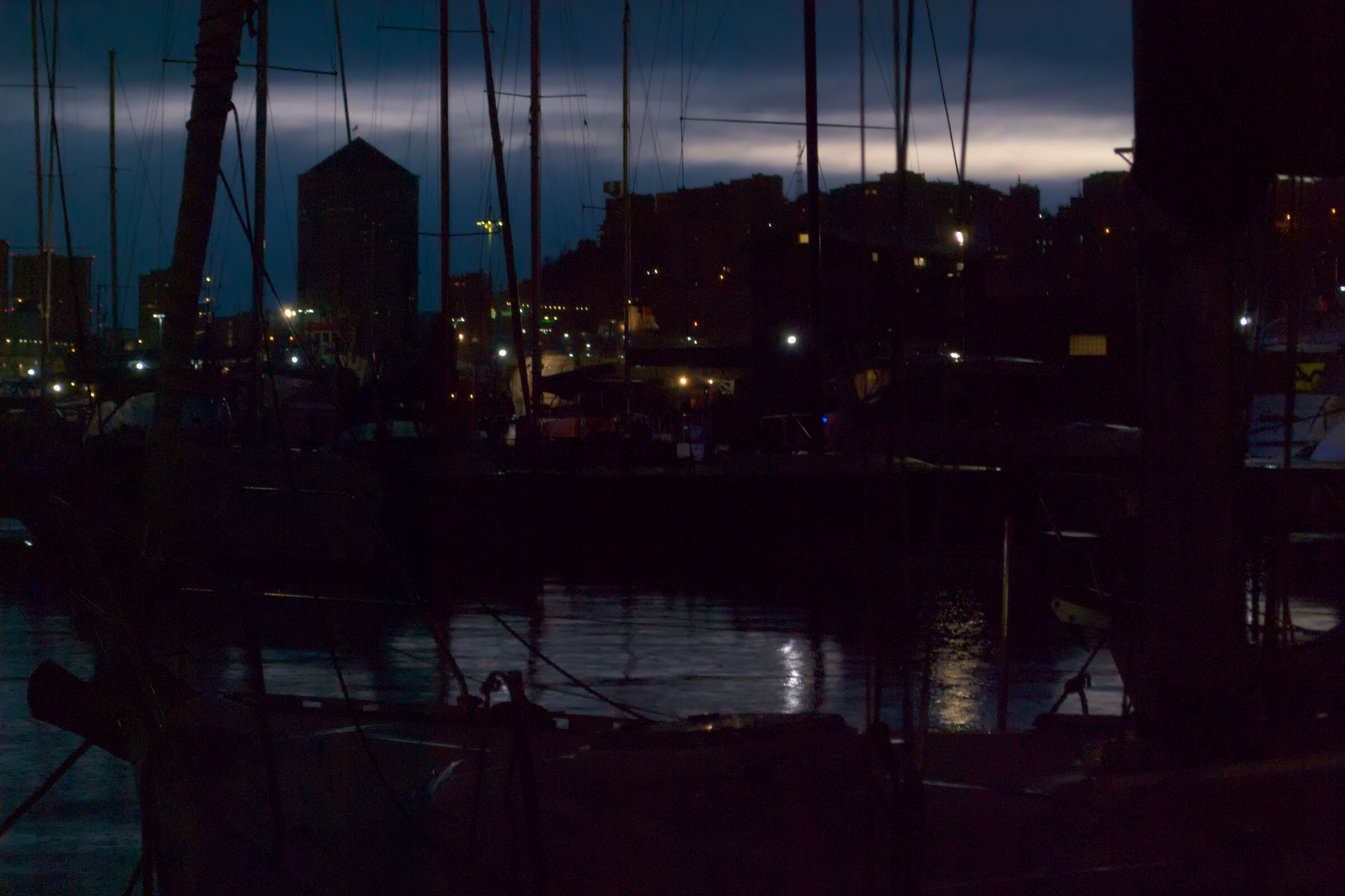 At the harbor after the storm