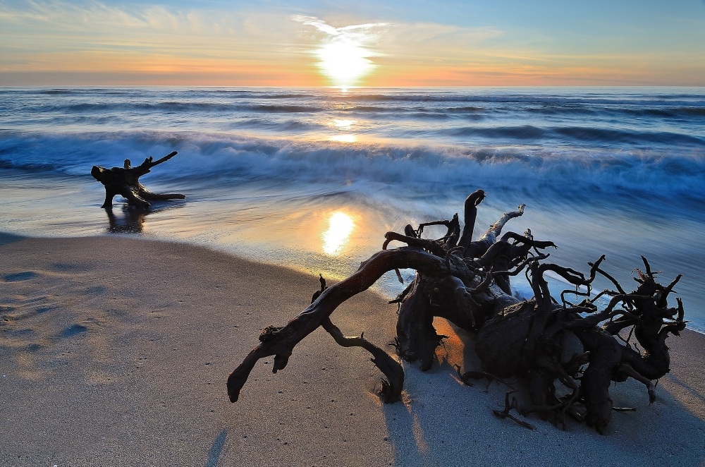 Marina Di Vecchiano 2