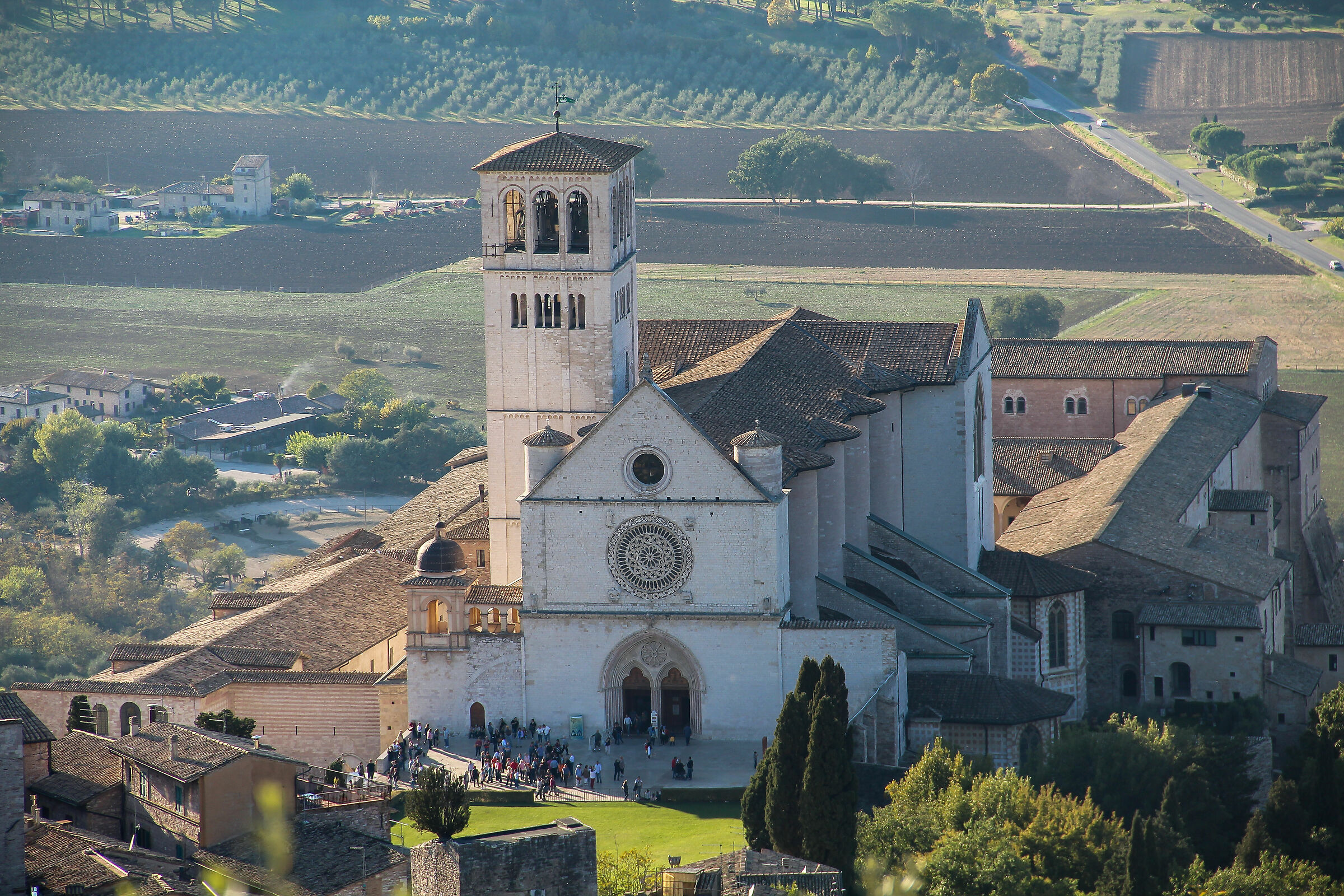 The Basilica of St. Francis