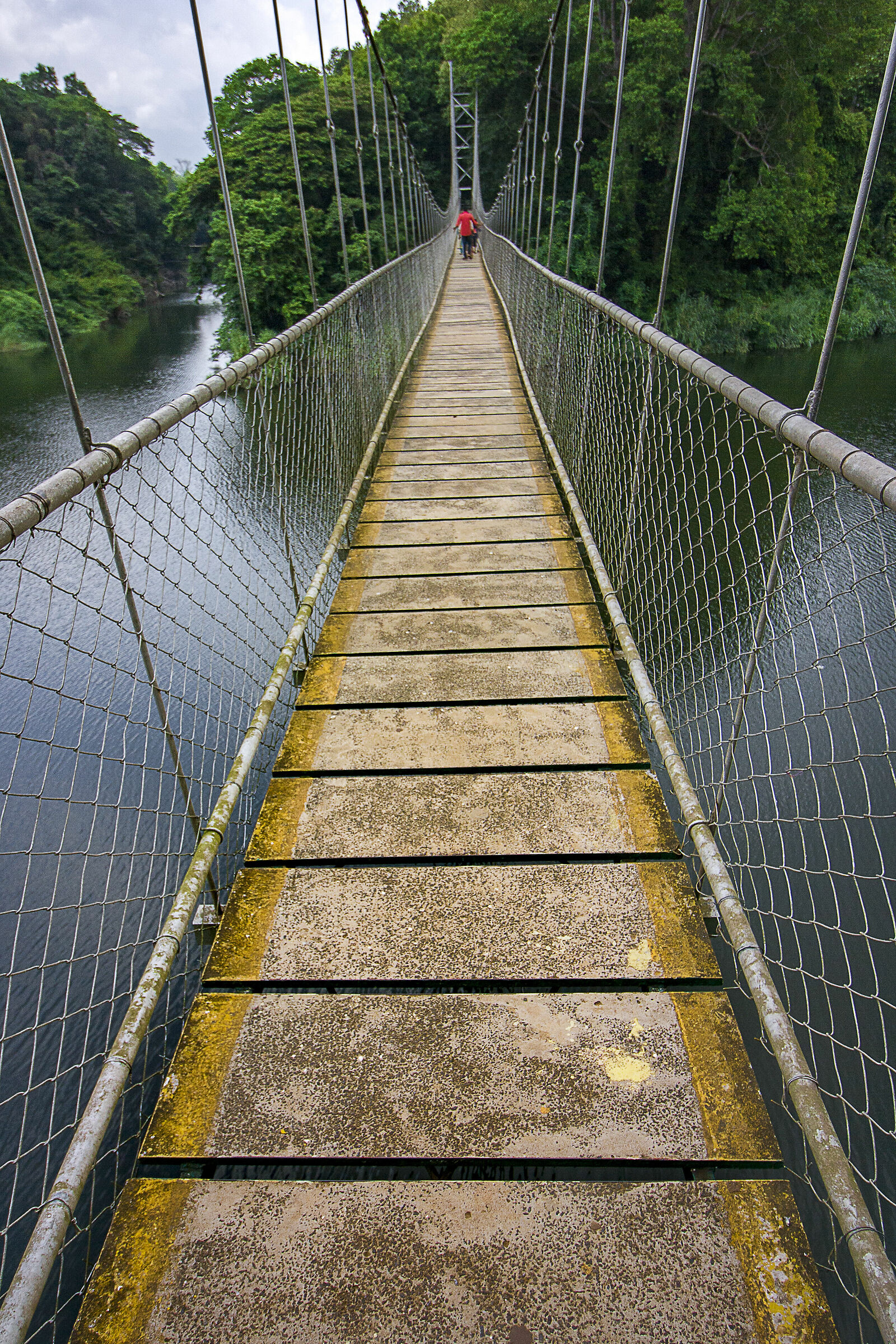 The hanging bridge