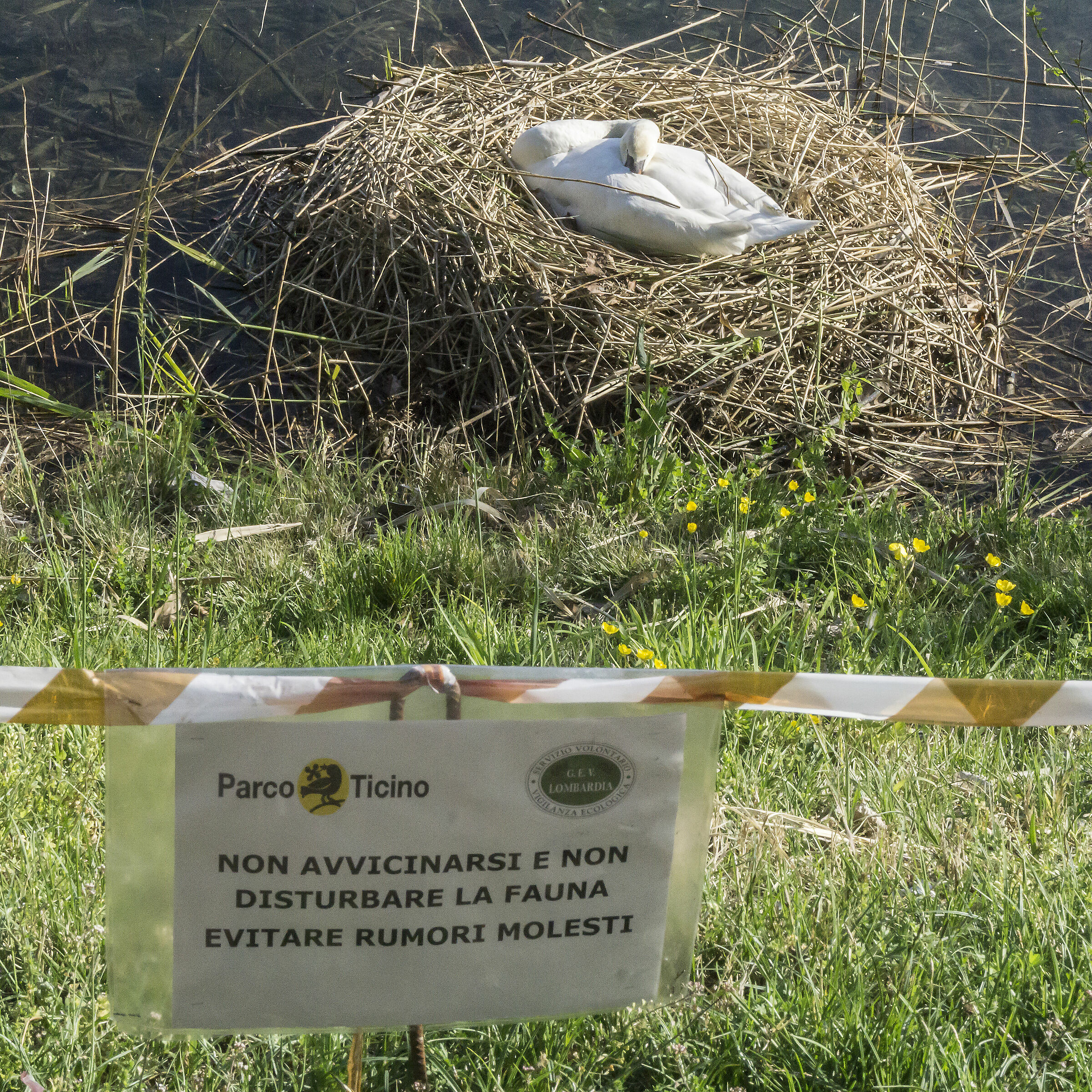 Mercoledì 17 aprile 2019, 17:35