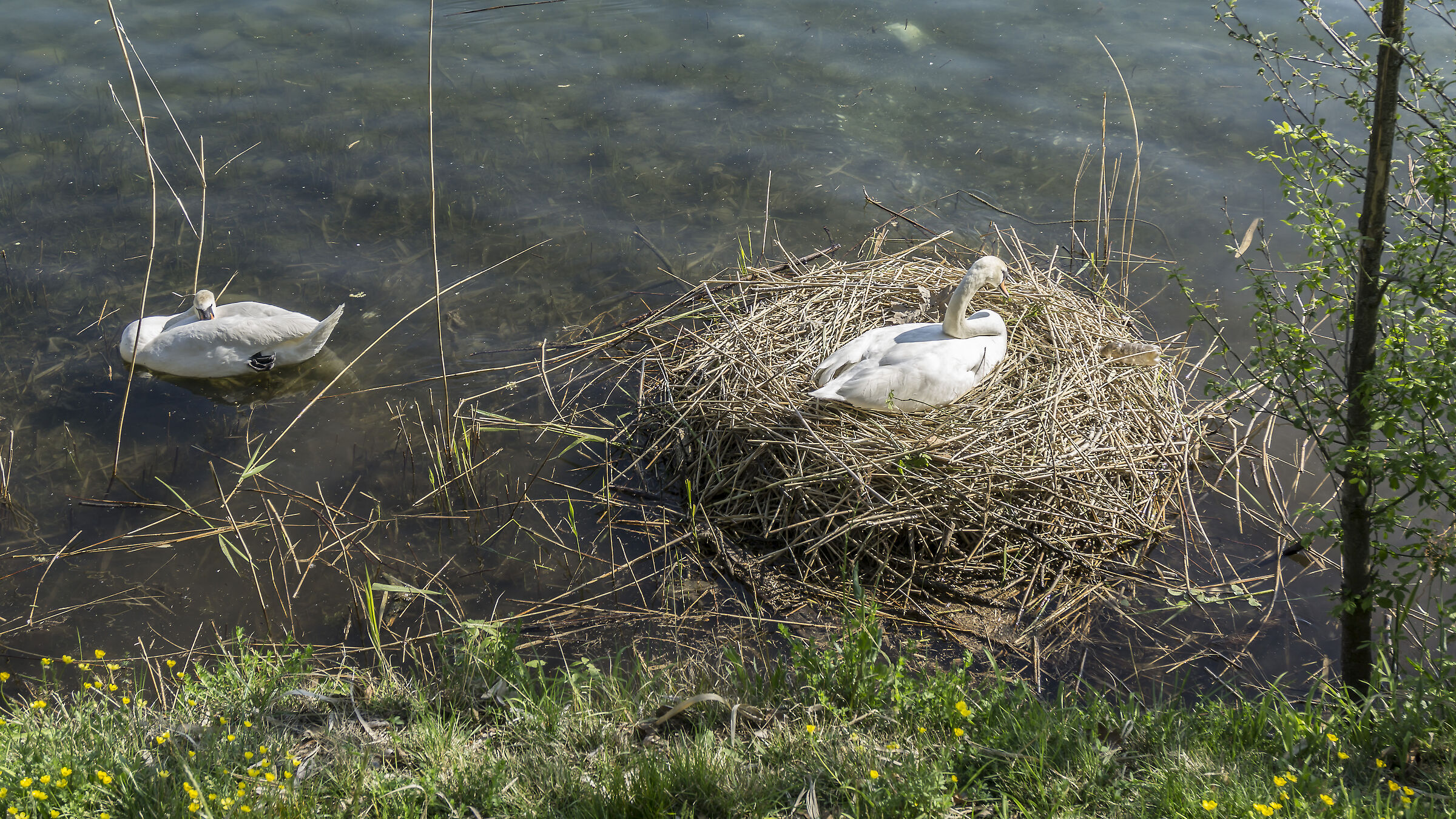 Mercoledì 20 aprile 2019, 16:48