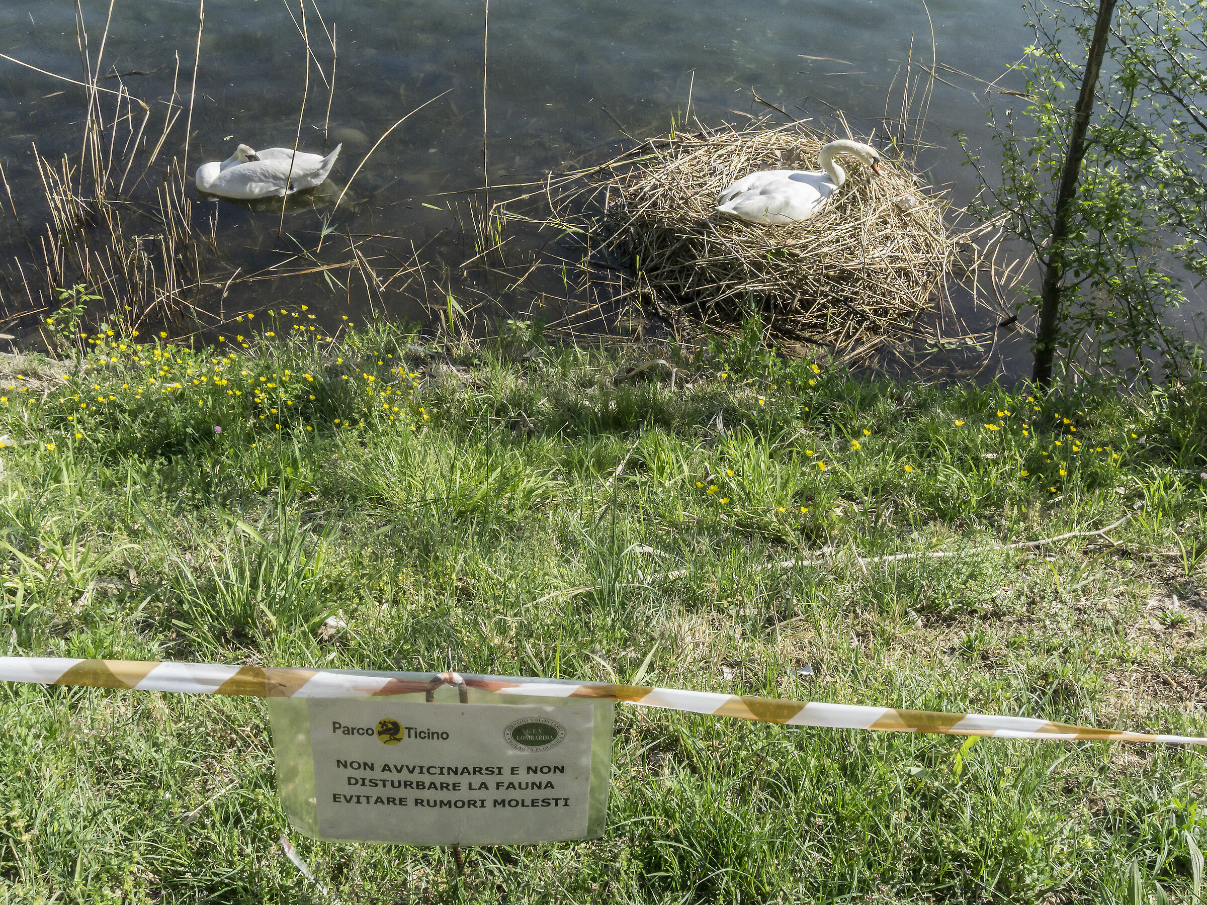 Mercoledì 20 aprile 2019, 16:49