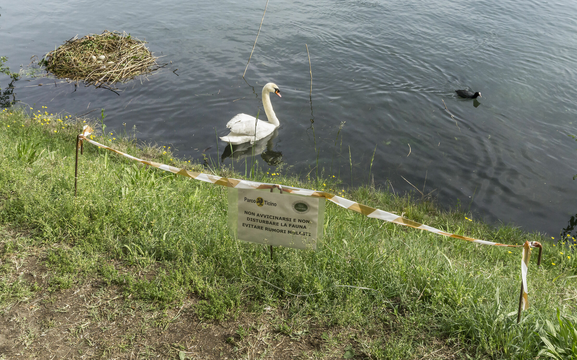 Sabato 27 aprile 2019, 16:49