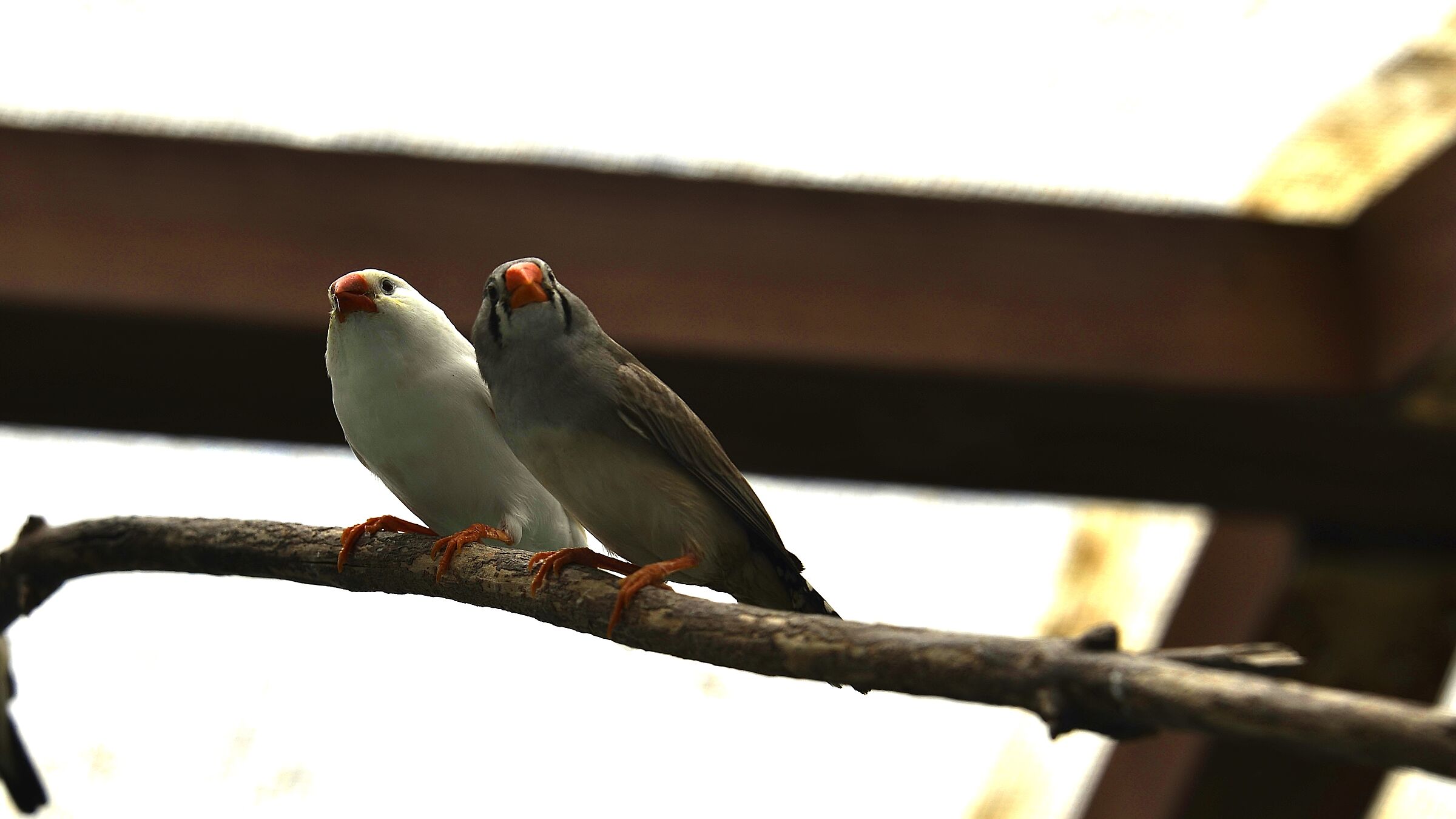 Per Favore non ci disturbate!!