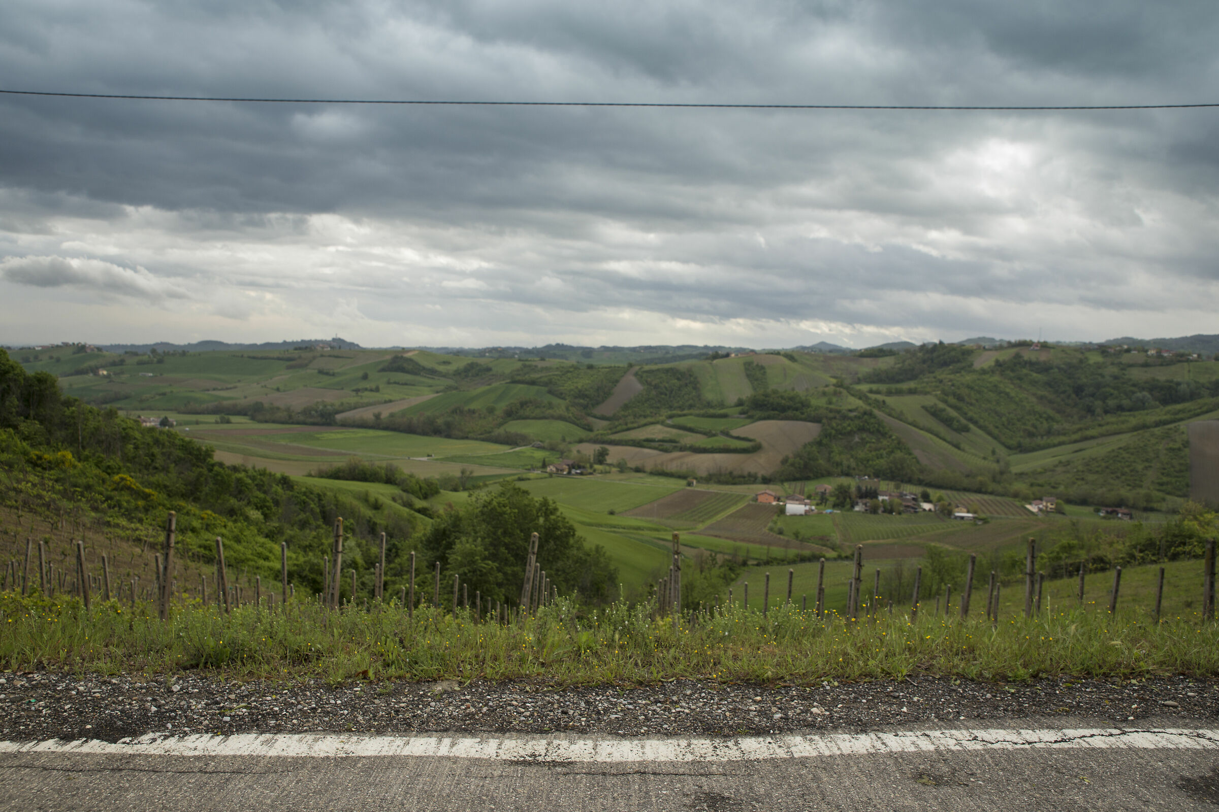 Street, Green and Sky