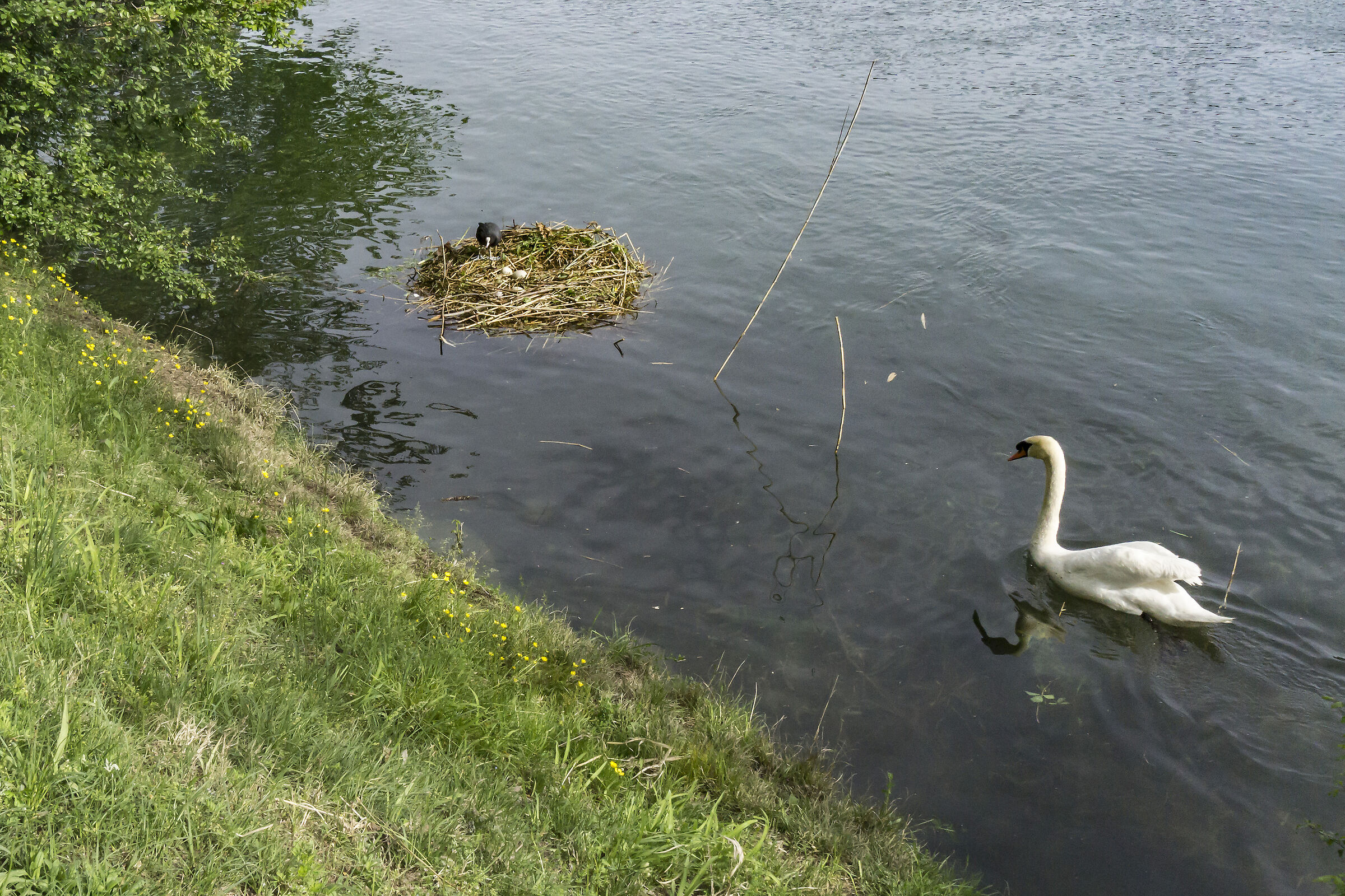 Sabato 27 aprile 2019, 16:47