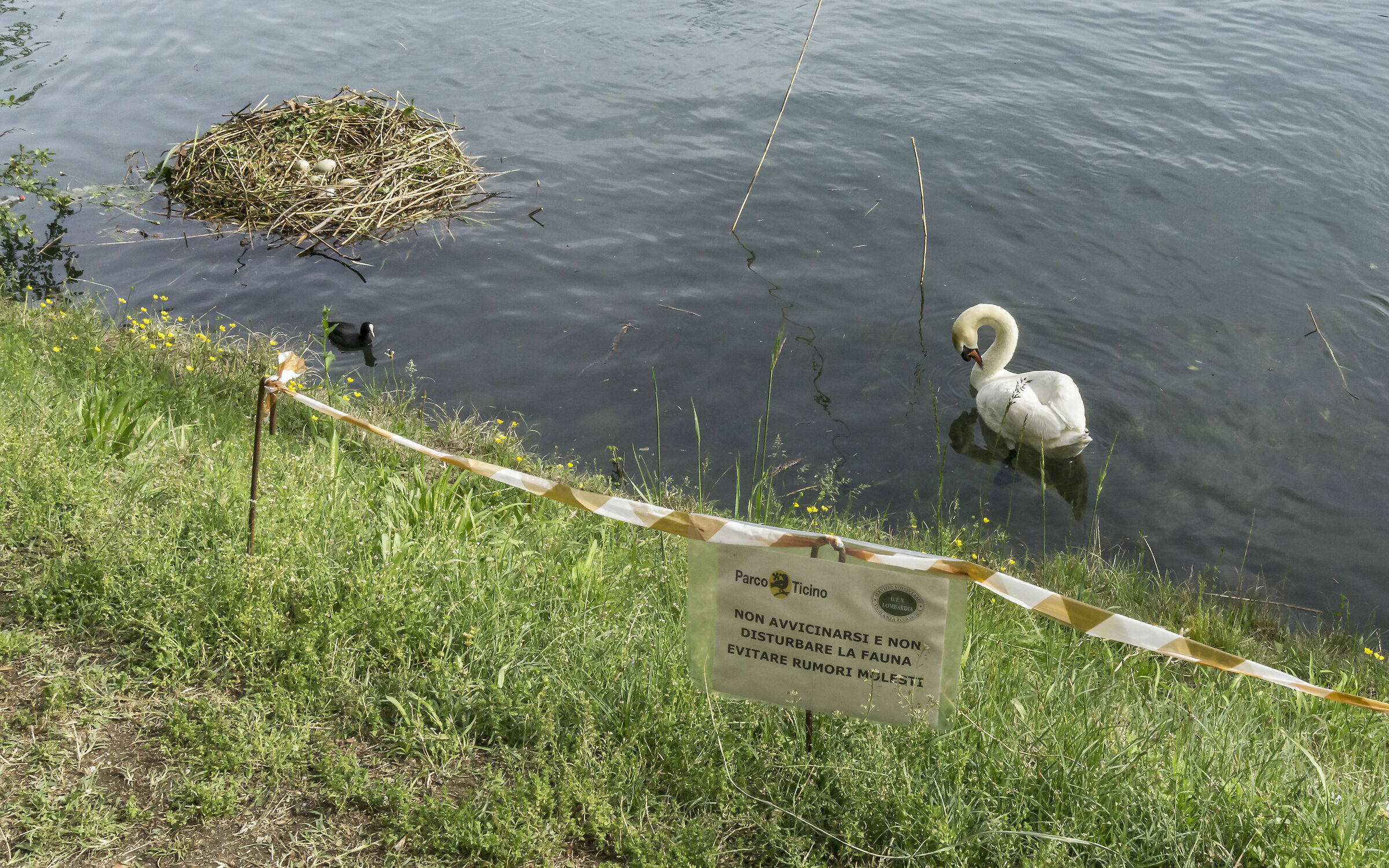 Sabato 27 aprile 2019, 16:50