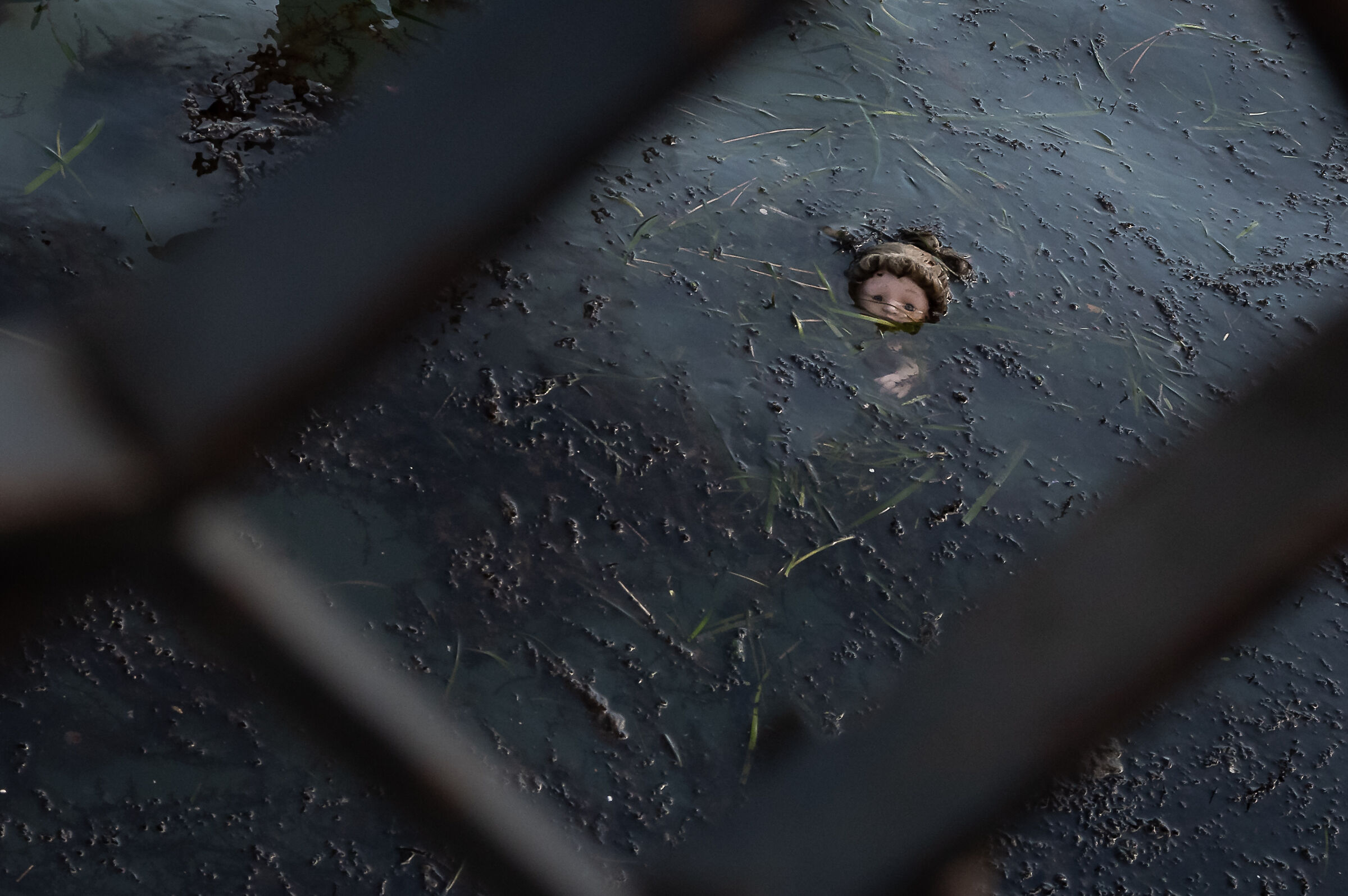 Venezia, piazza San Marco