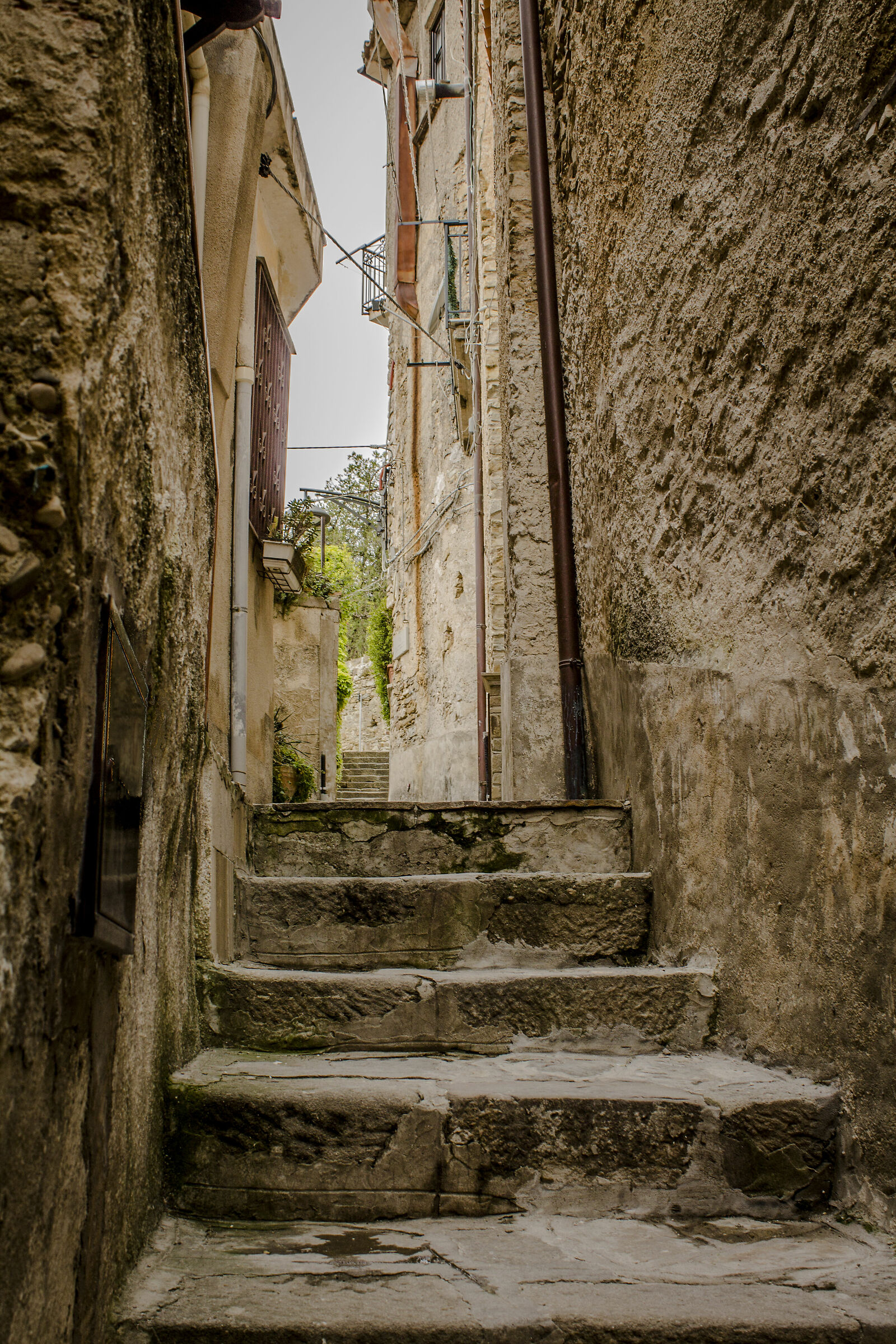 Il Borgo Saraceno...