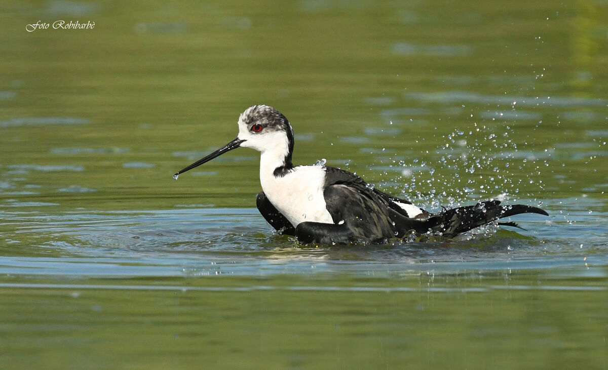 The knight's bathroom...
