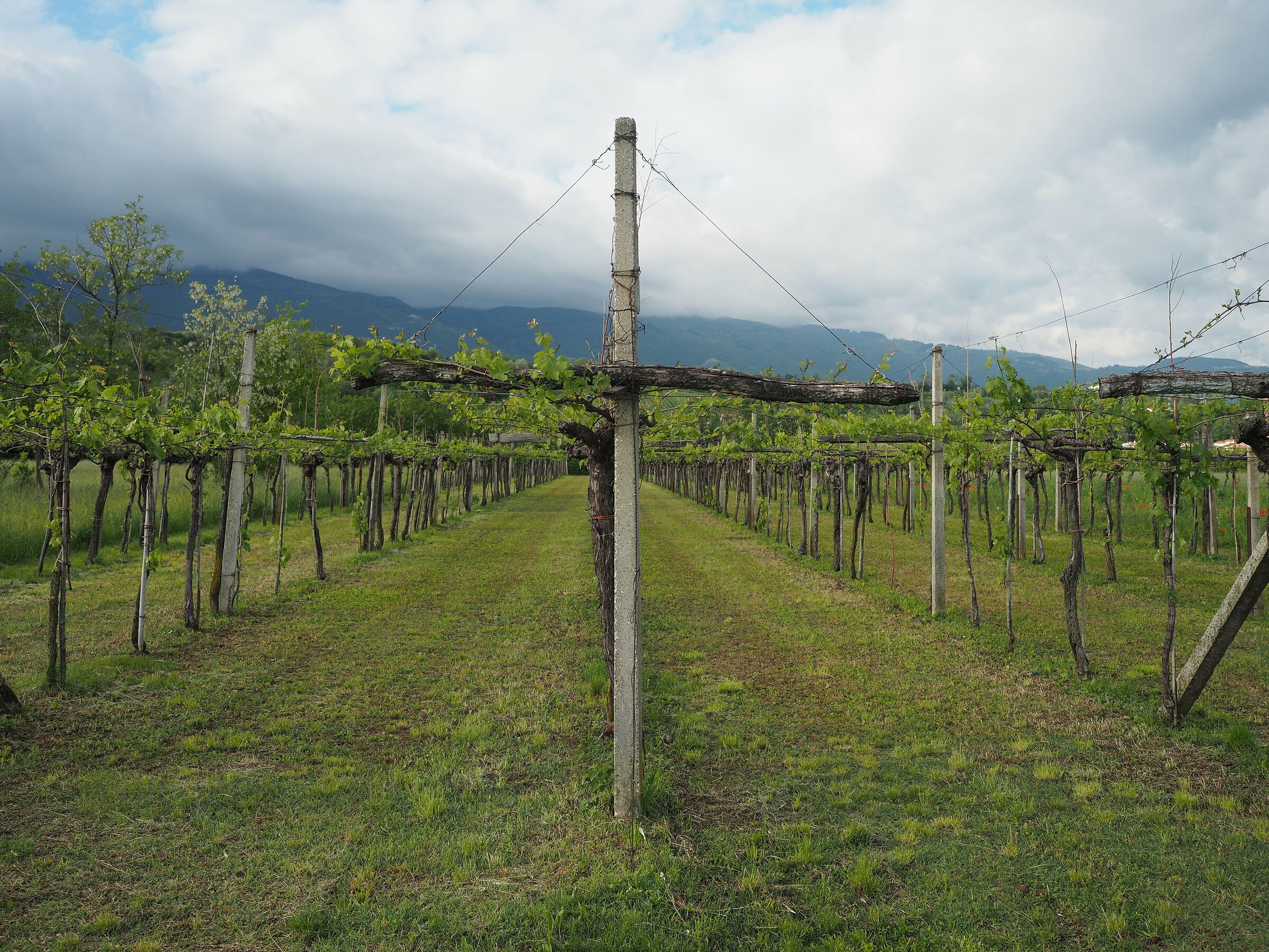 Centrale di Zugliano, Campagnole