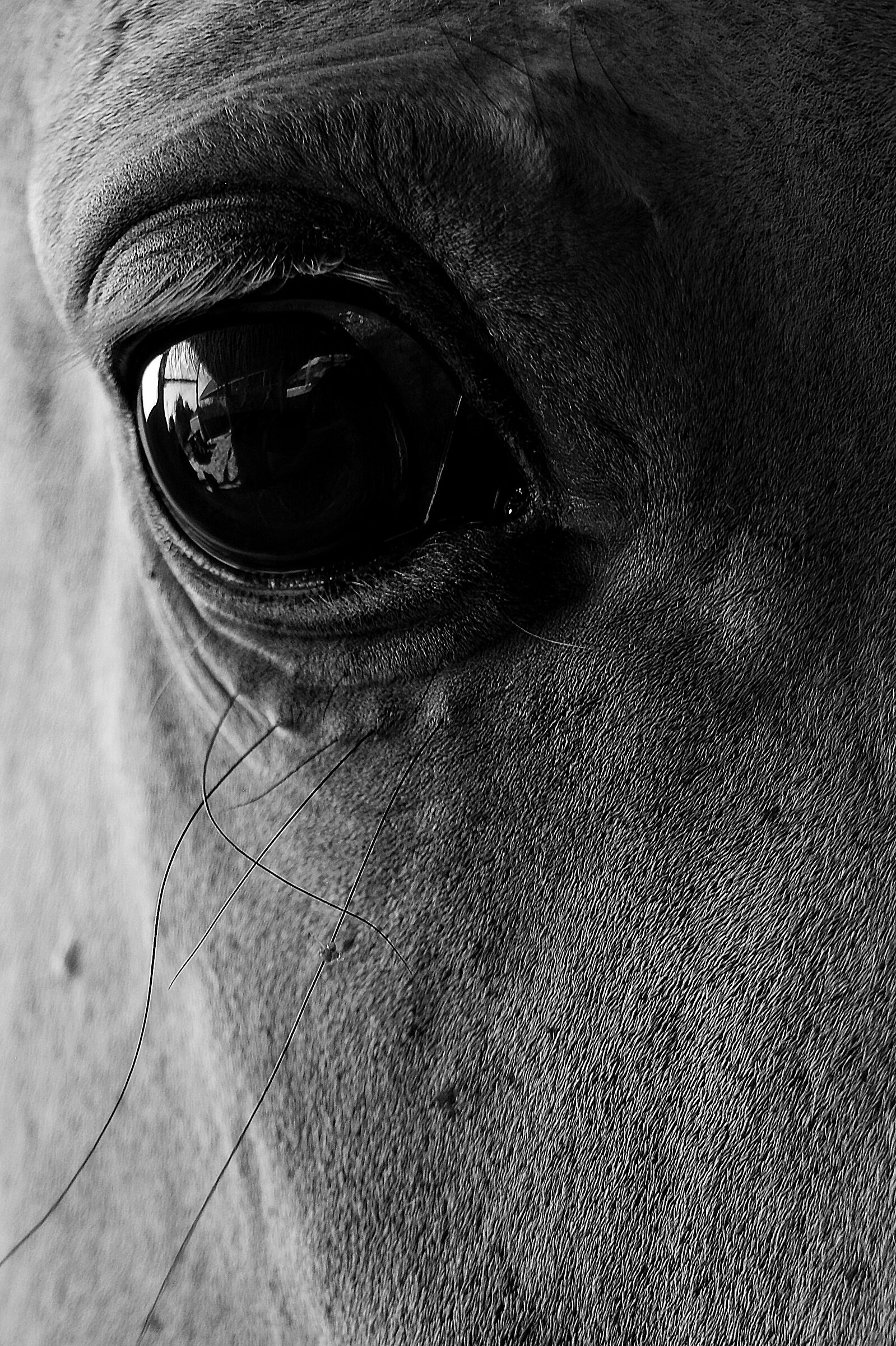 Contrasti e intensità