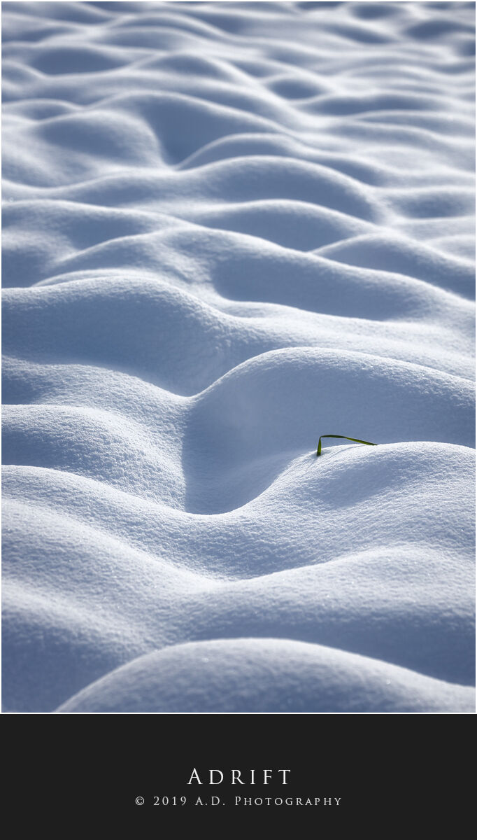 Adrift