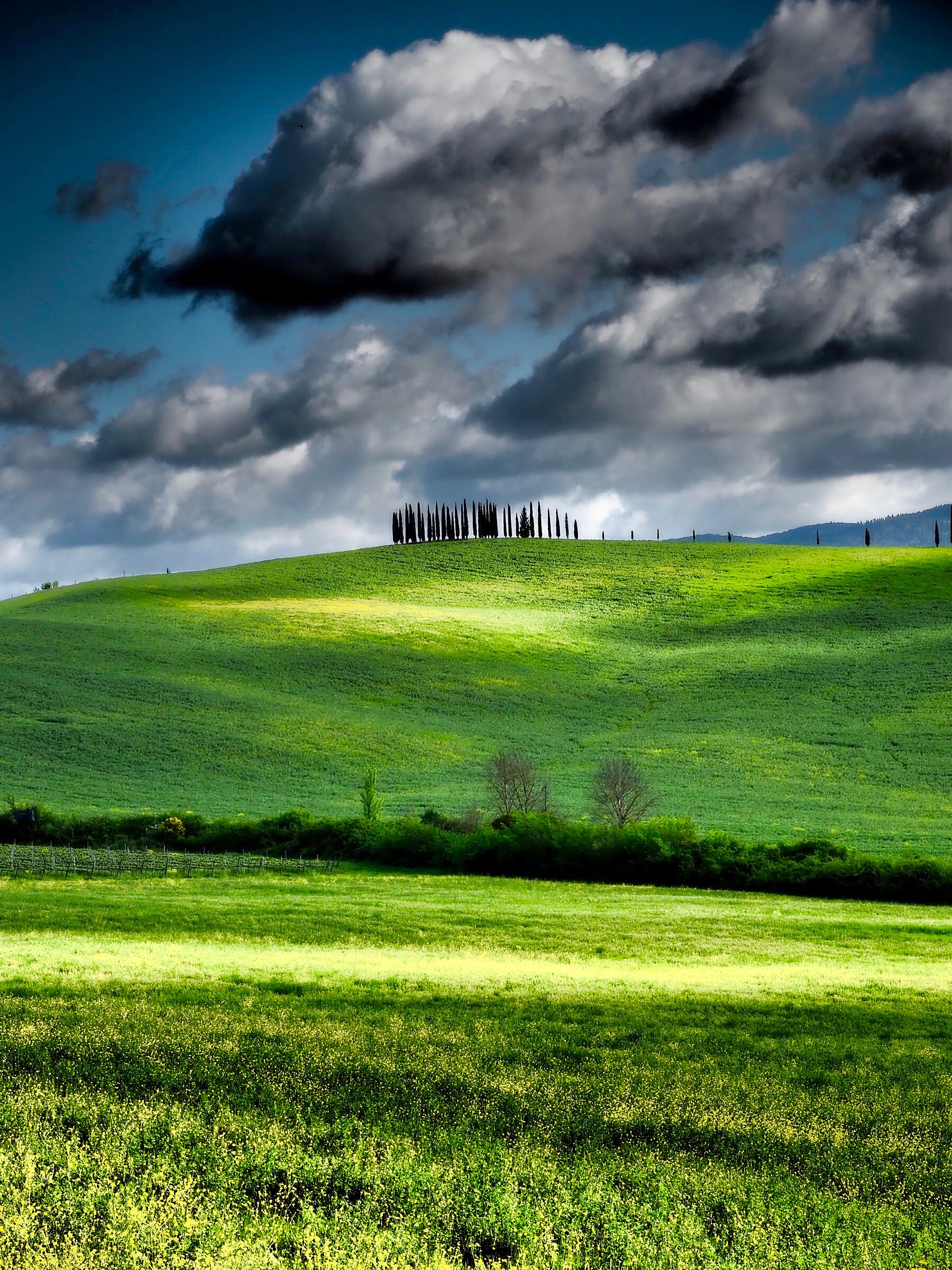 Val d'orcia