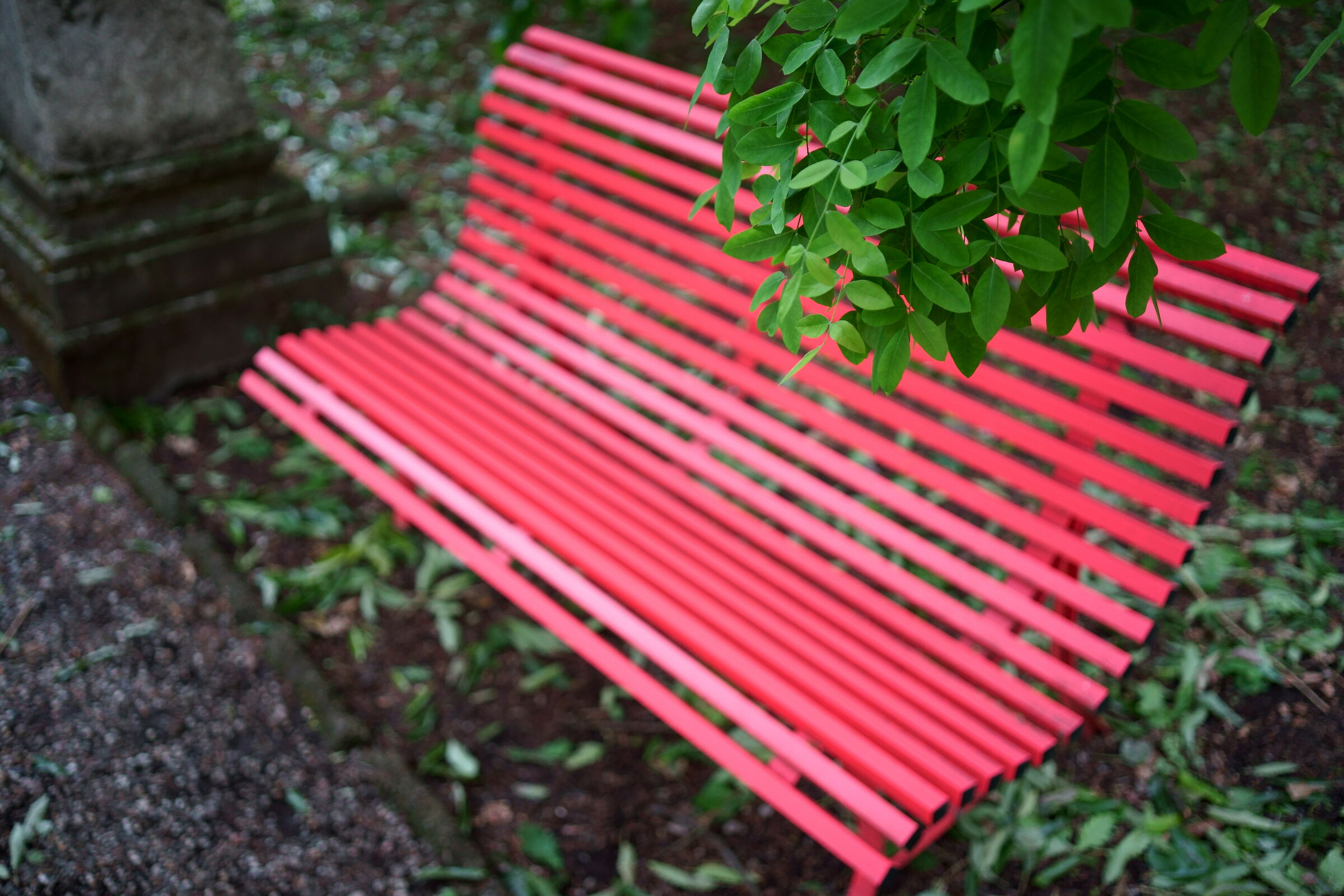 The Red Bench