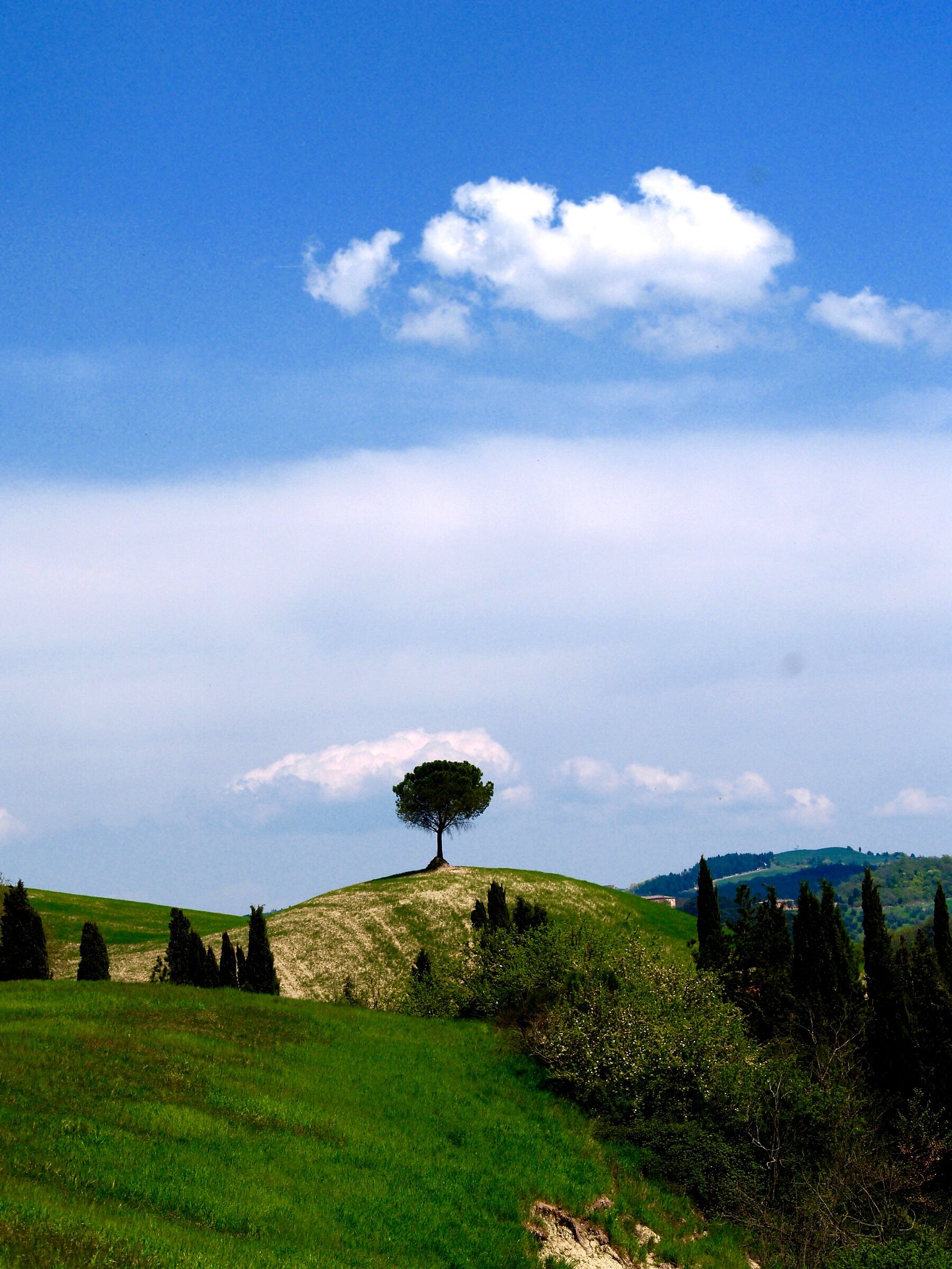 val d'orcia