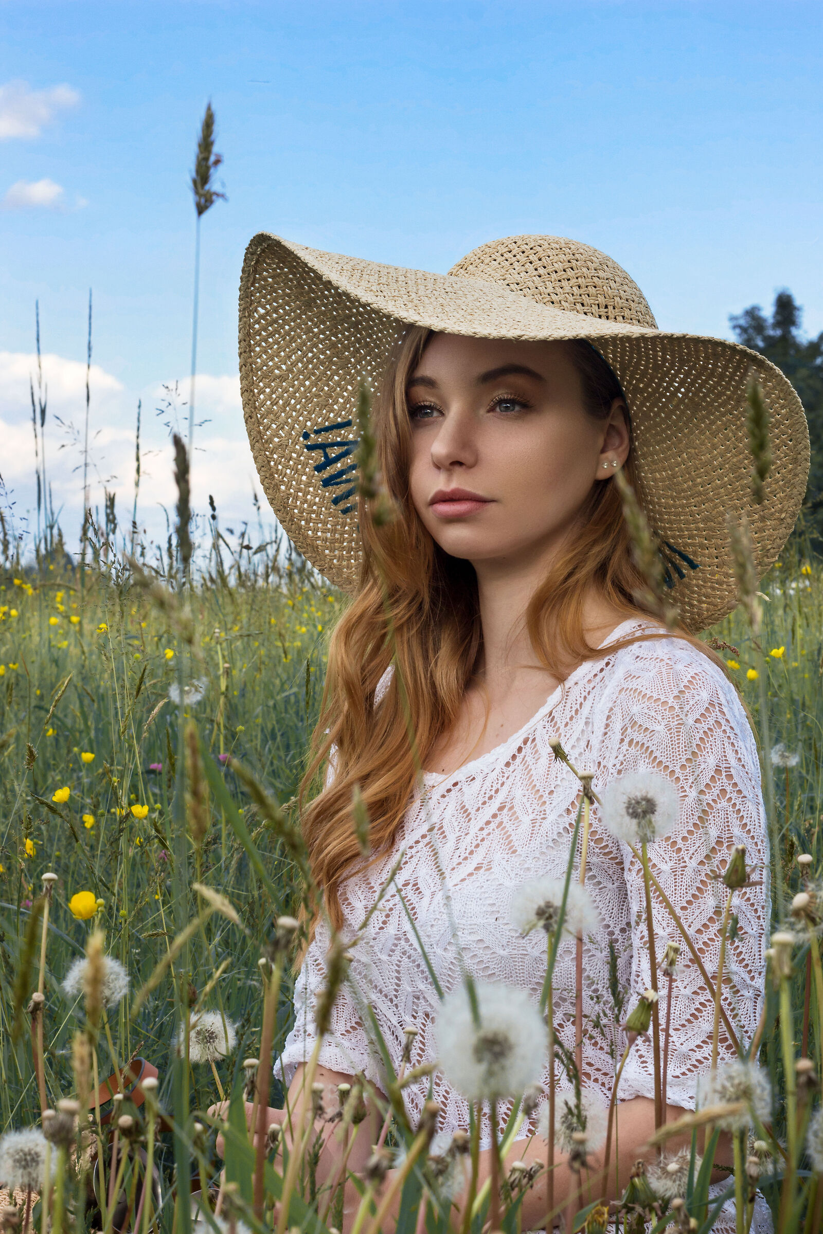 Ma il cielo è sempre più blu