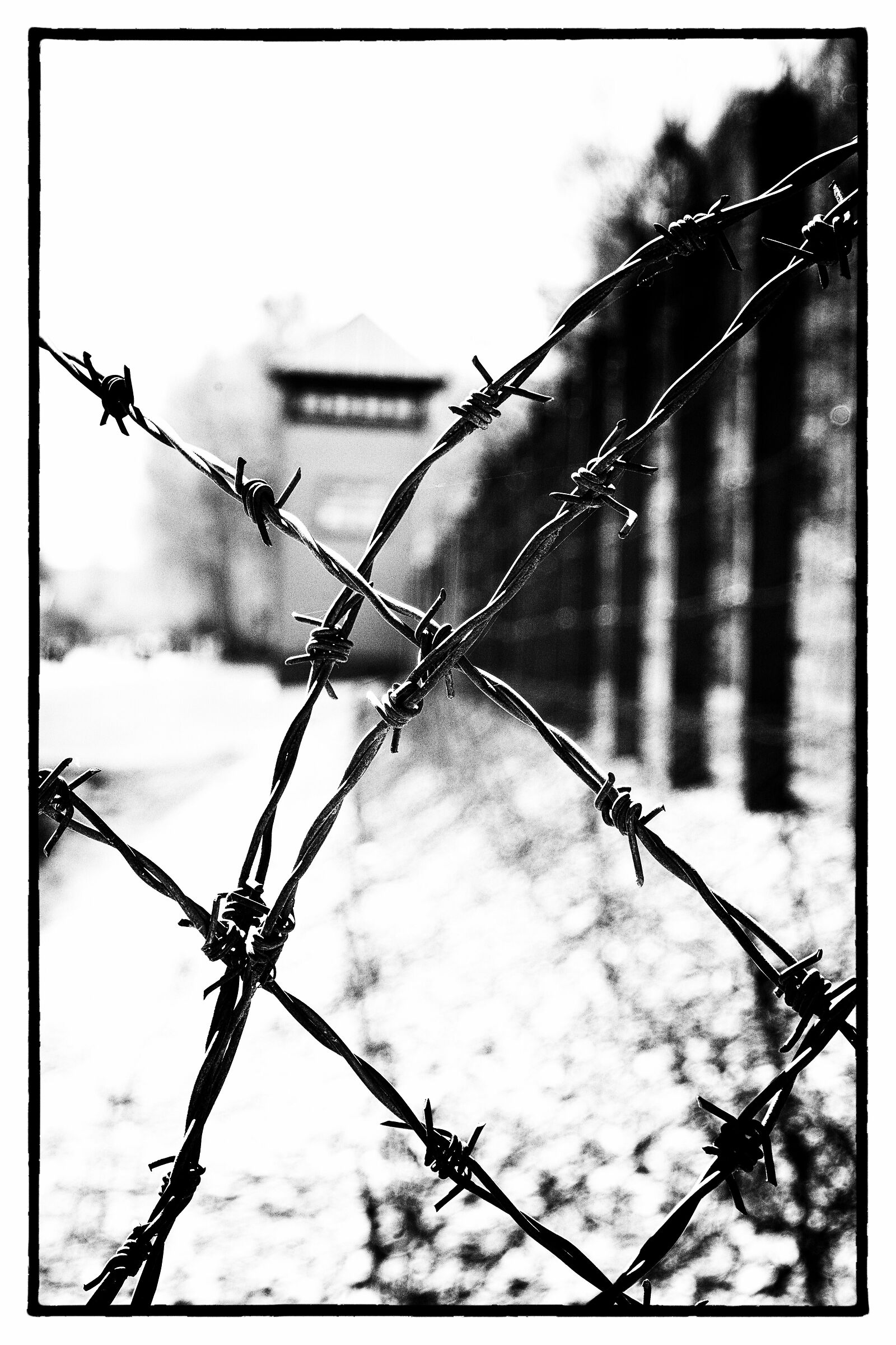 Il sonno della ragione genera mostri