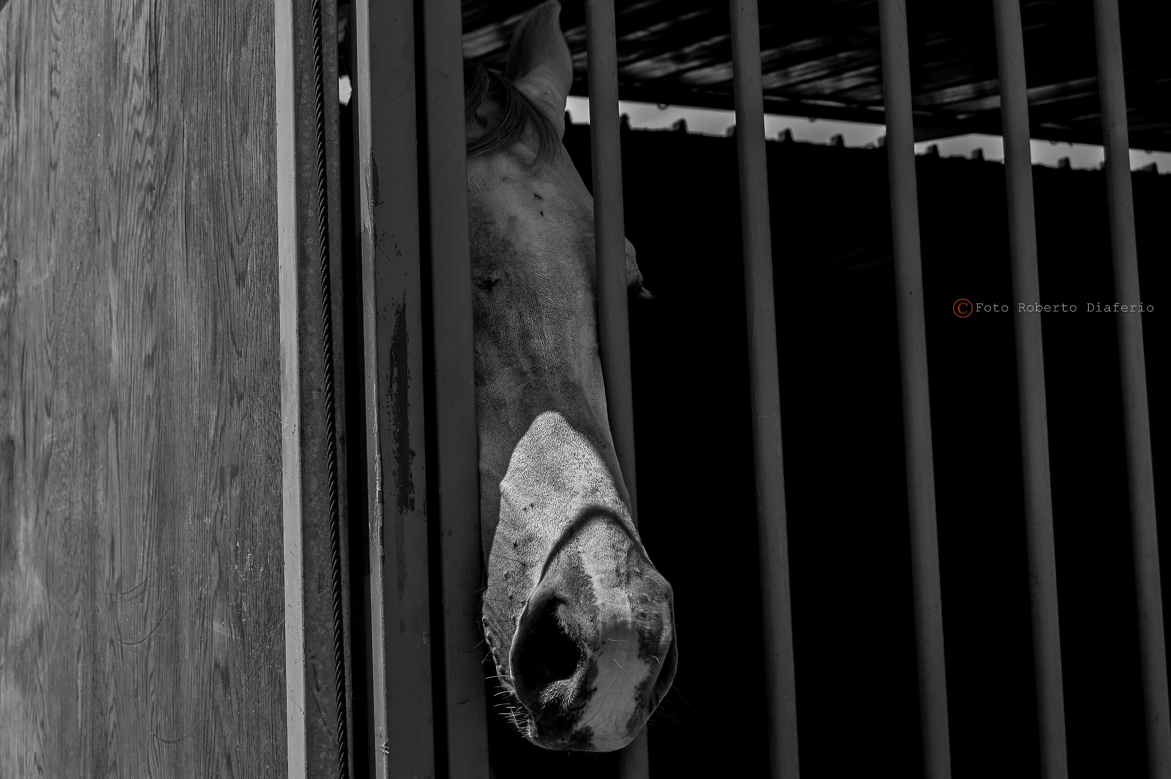 ...respiro d'aria libera..