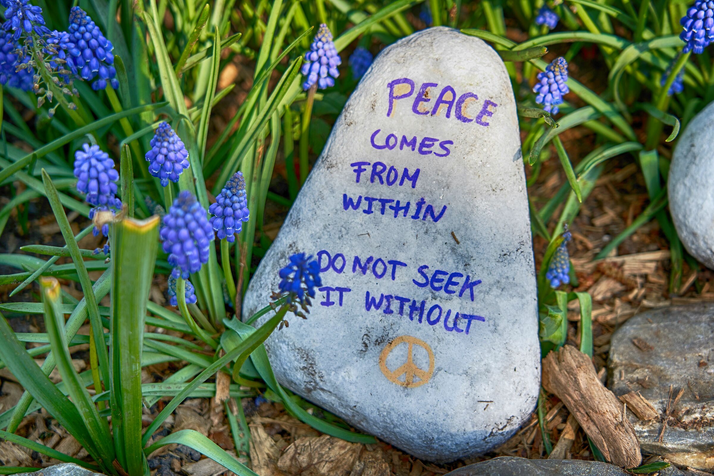 The Philosopher's Stone