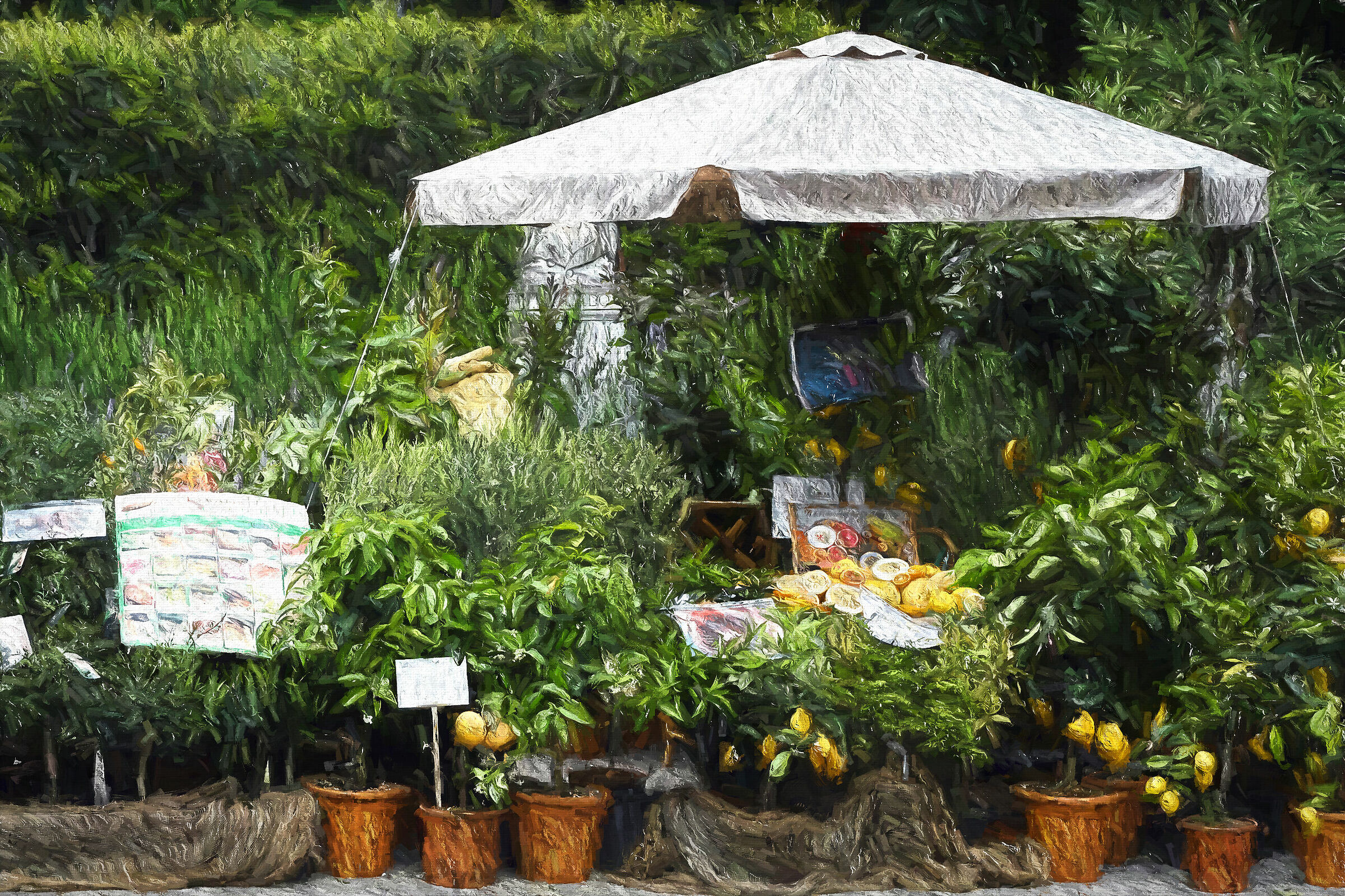 Plants of lemon-Degas Pitt