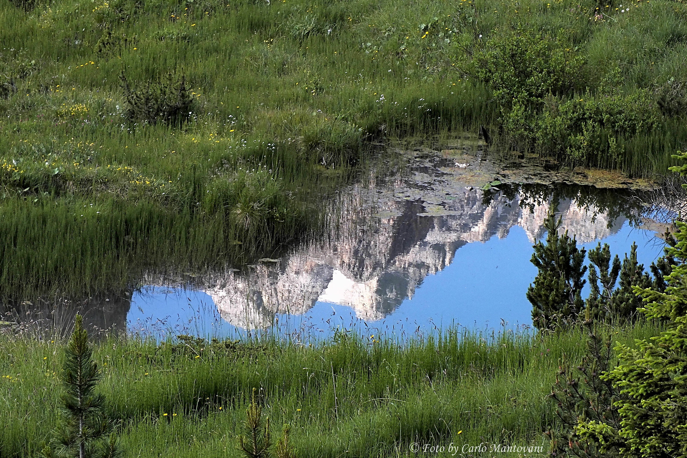Montagna in una pozza (VBadia_0257)