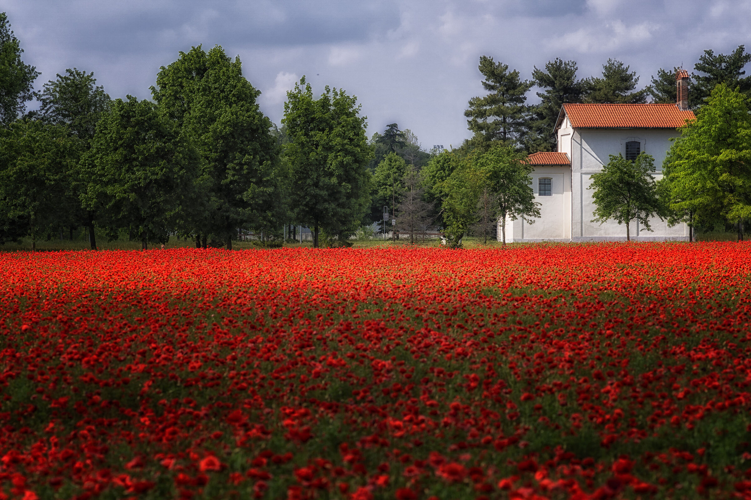 Our Lady of the country