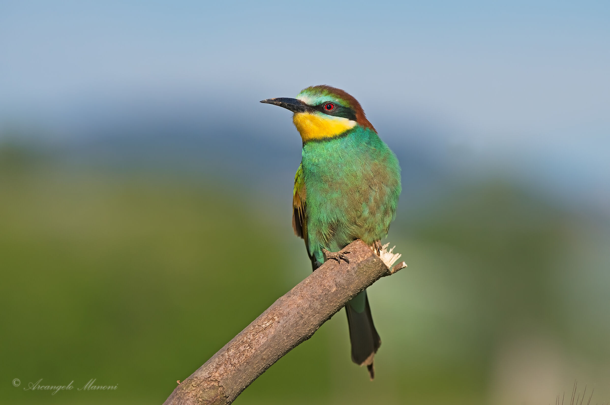 Lo scavatore nella fredda primavera 2019