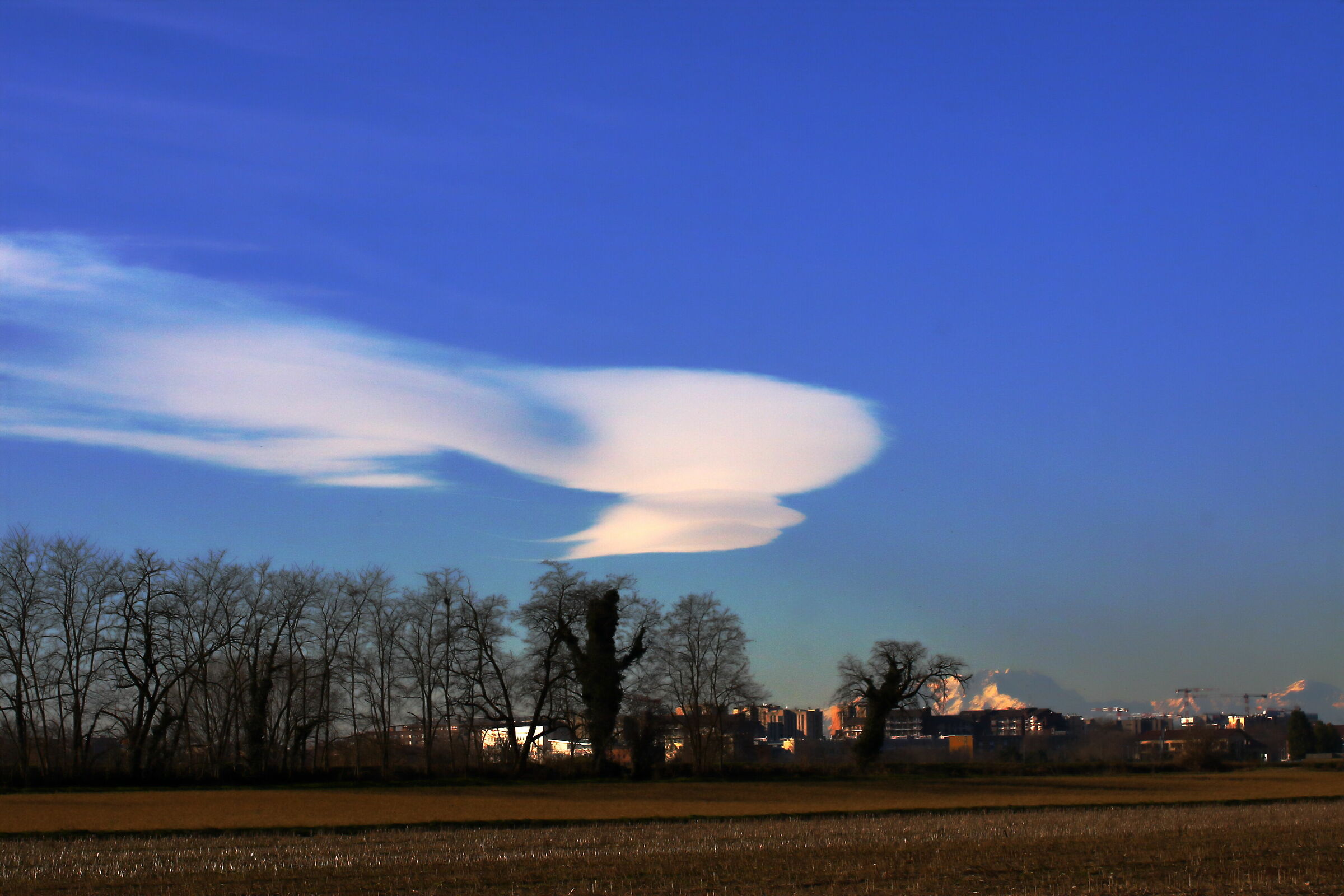 strane nuvole pomeridiane