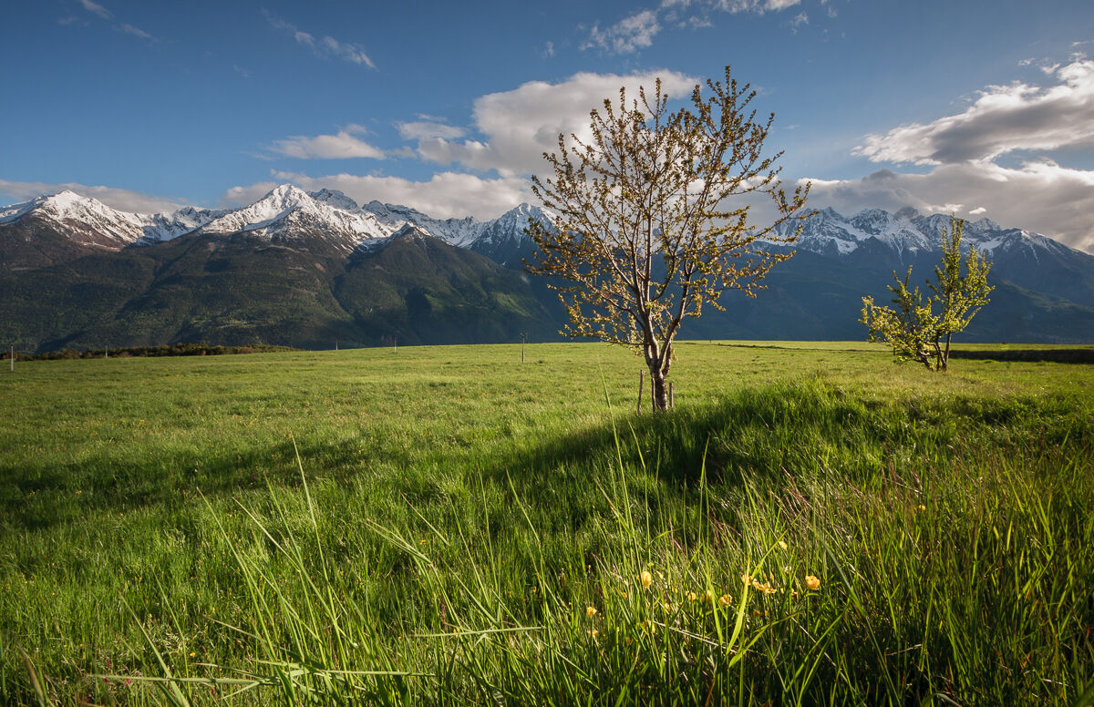 La primavera di Verrayes ...