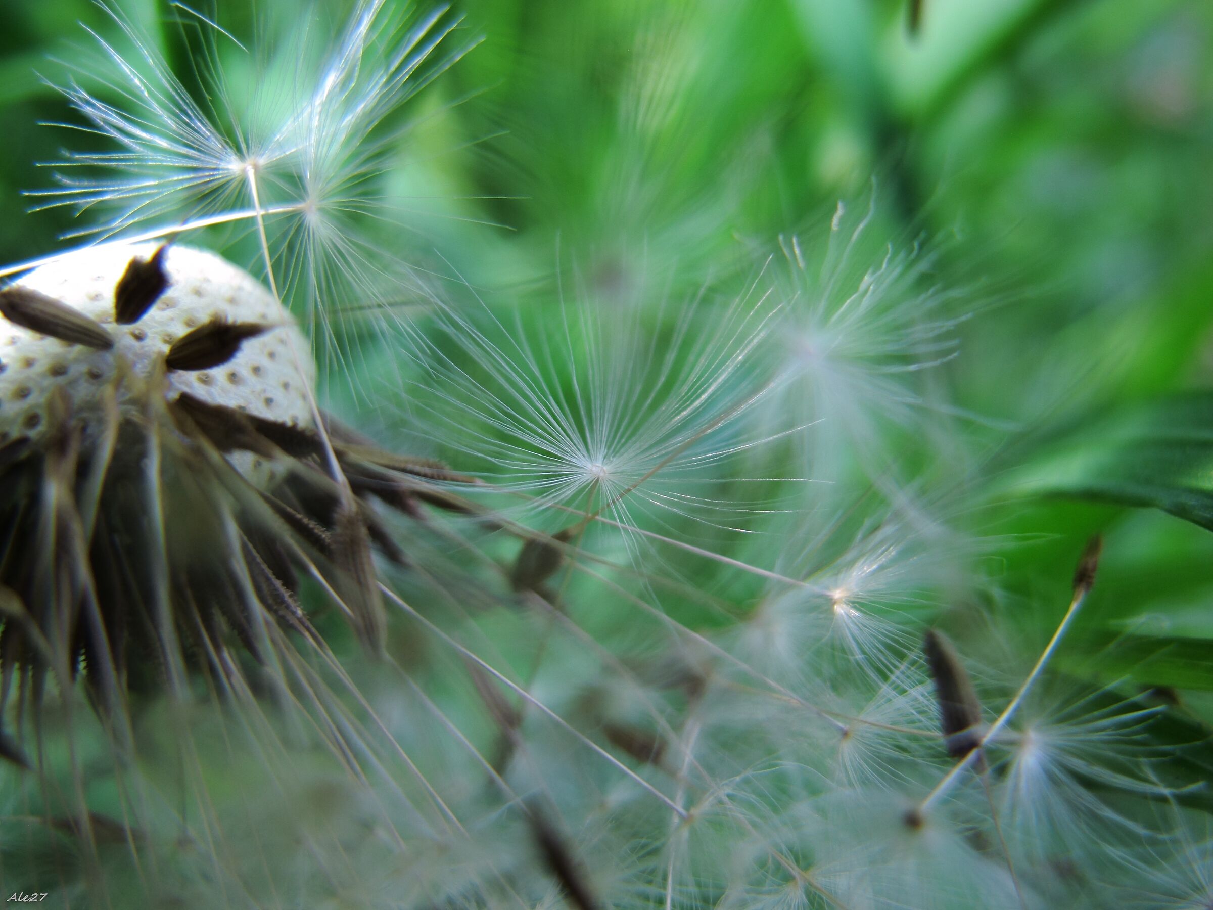 ... Without post... Just to blow...