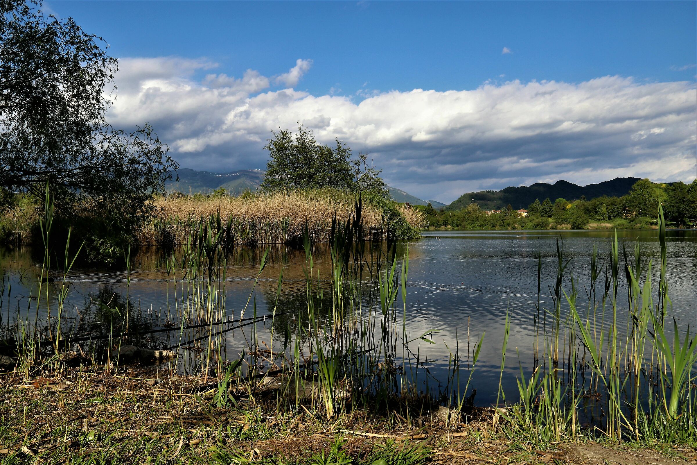 Lago di Sartirana  2