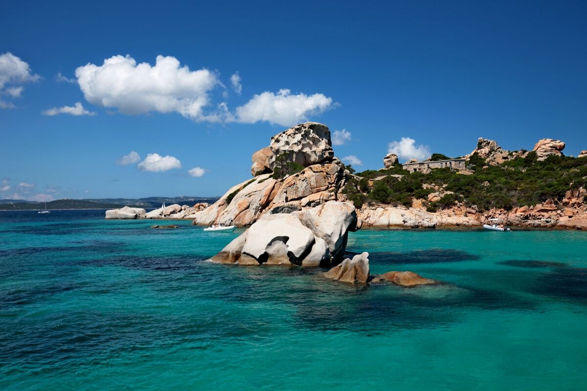 Il cane e la suocera