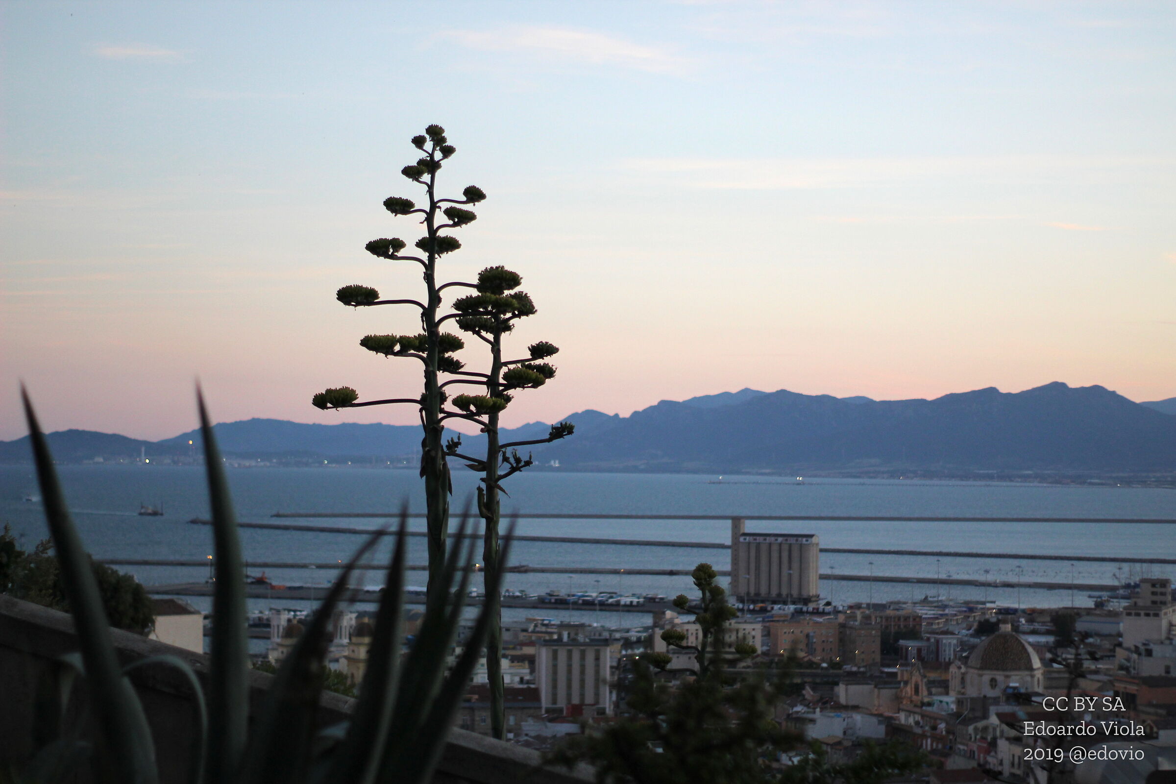 veduta da Viale Buoncammino di Cagliari
